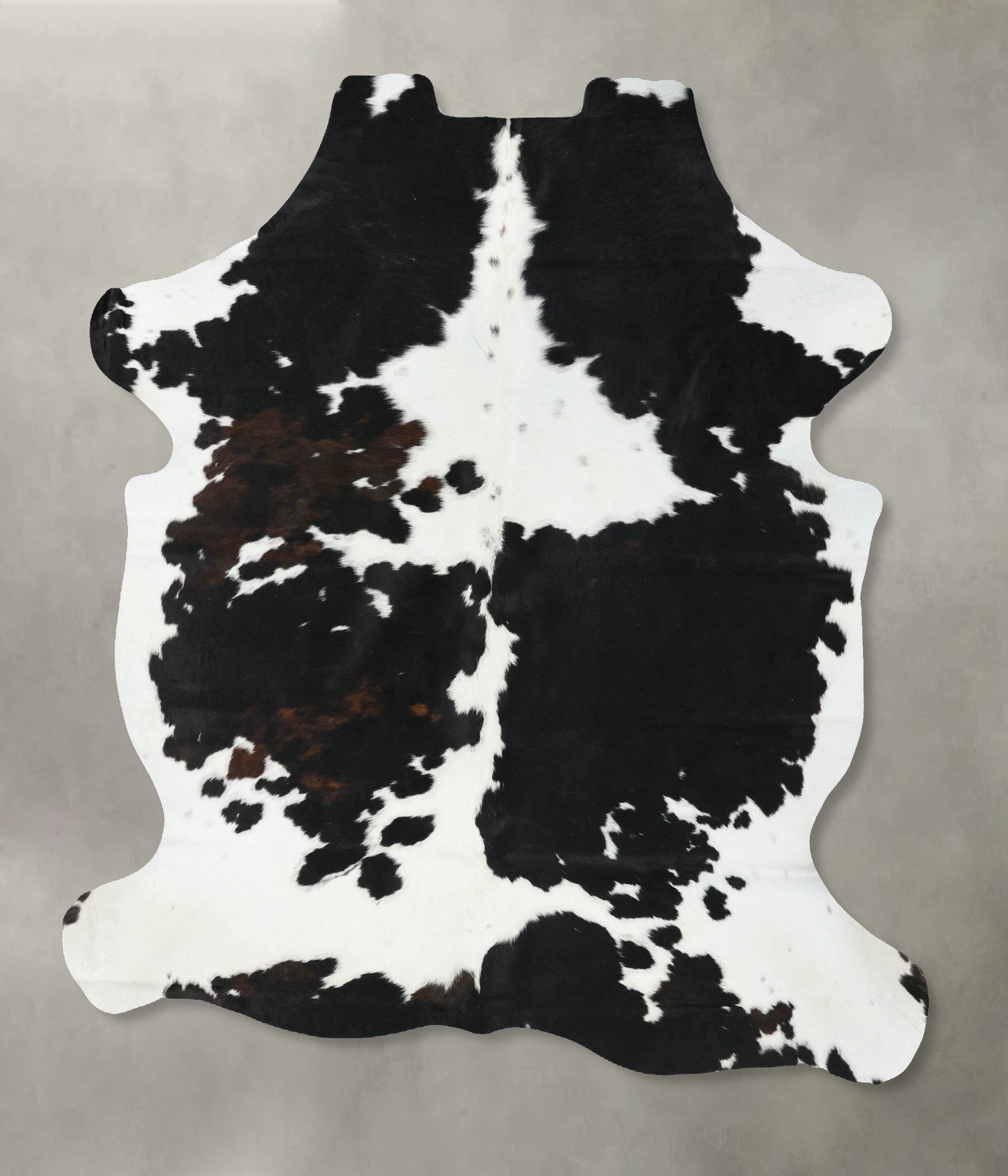 Tricolor Cowhide Rug #B22511