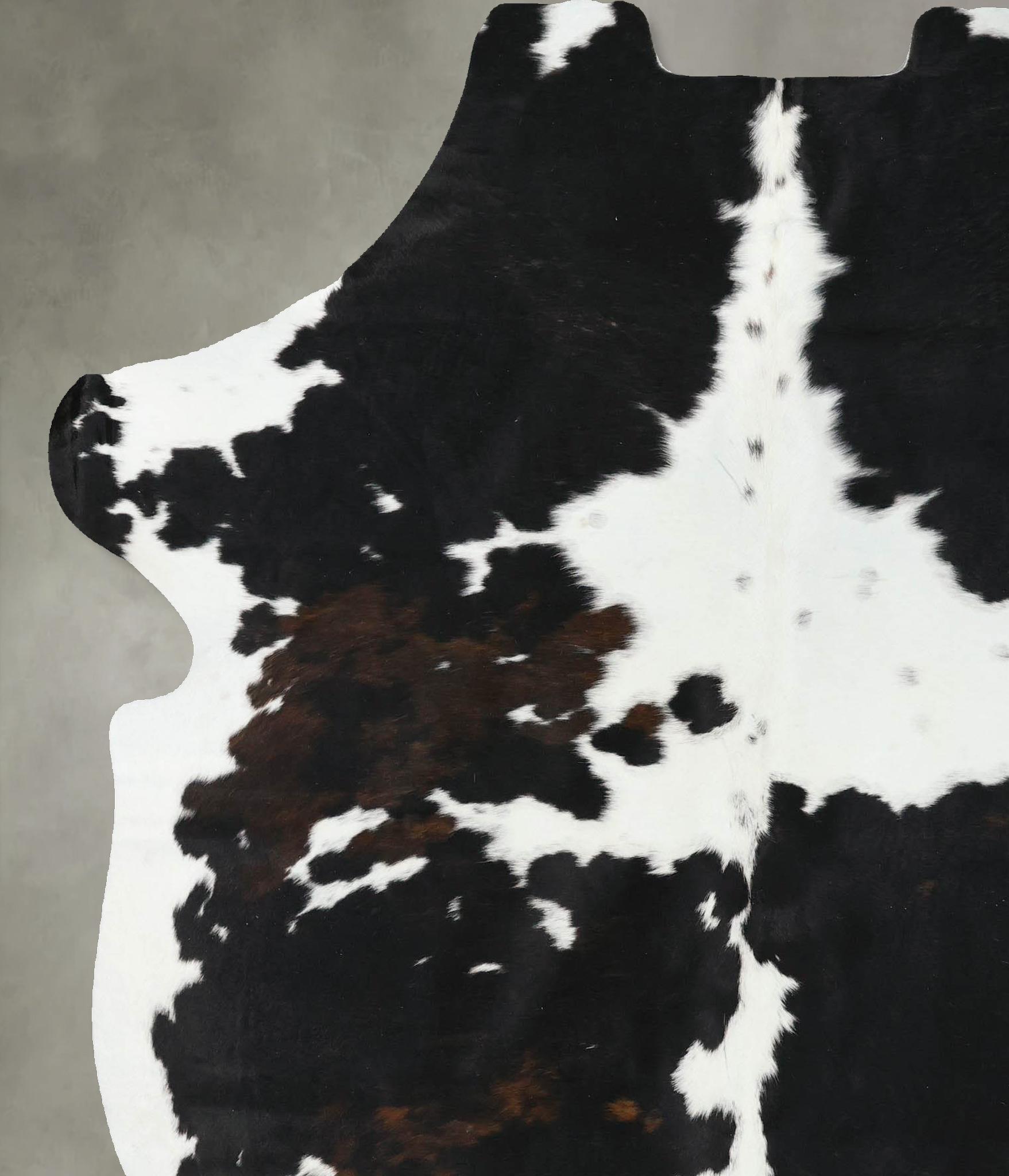 Tricolor Cowhide Rug #B22511