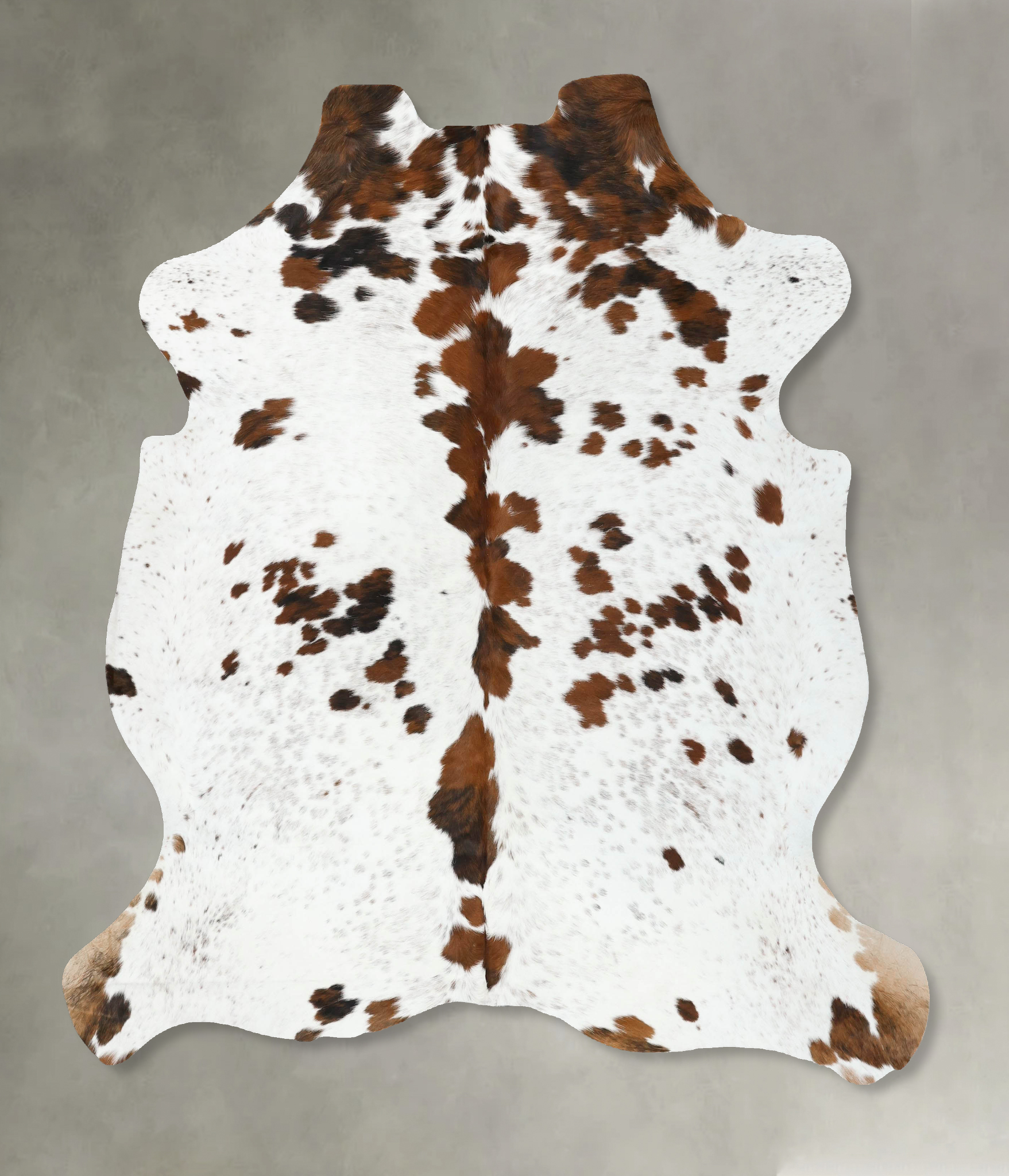 Tricolor Cowhide Rug #B22514