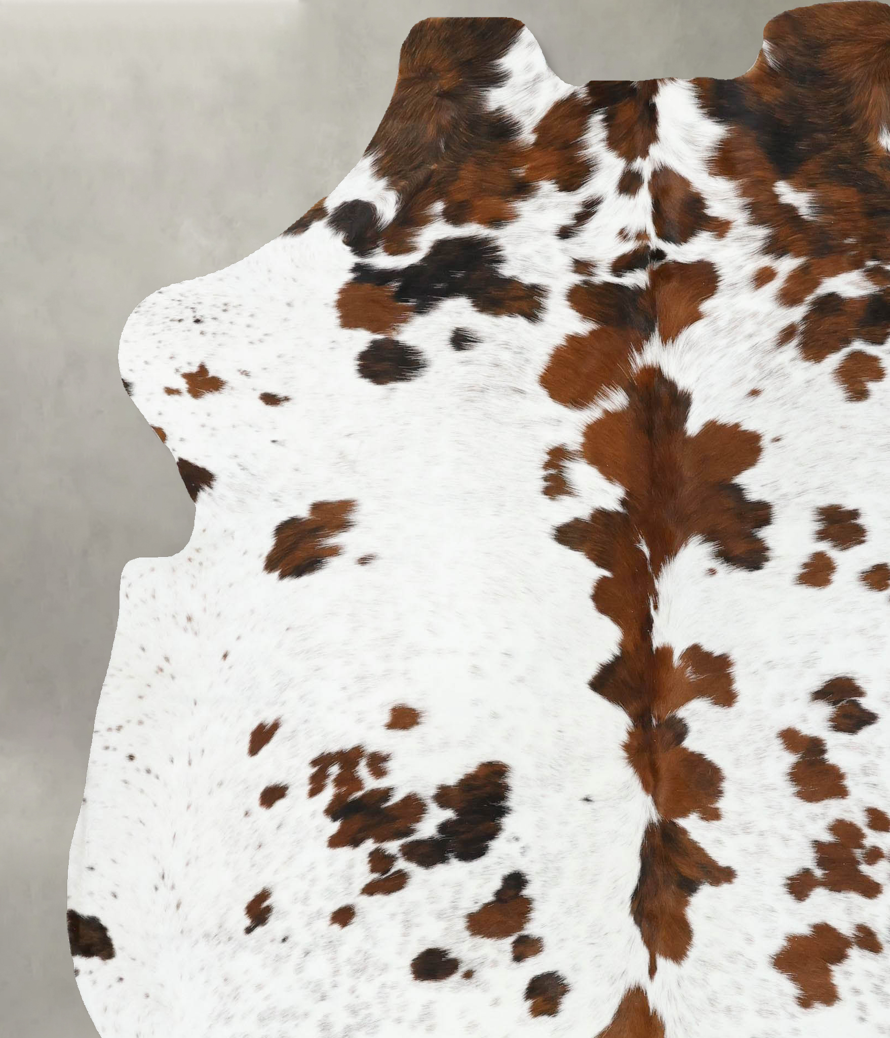 Tricolor Cowhide Rug #B22514