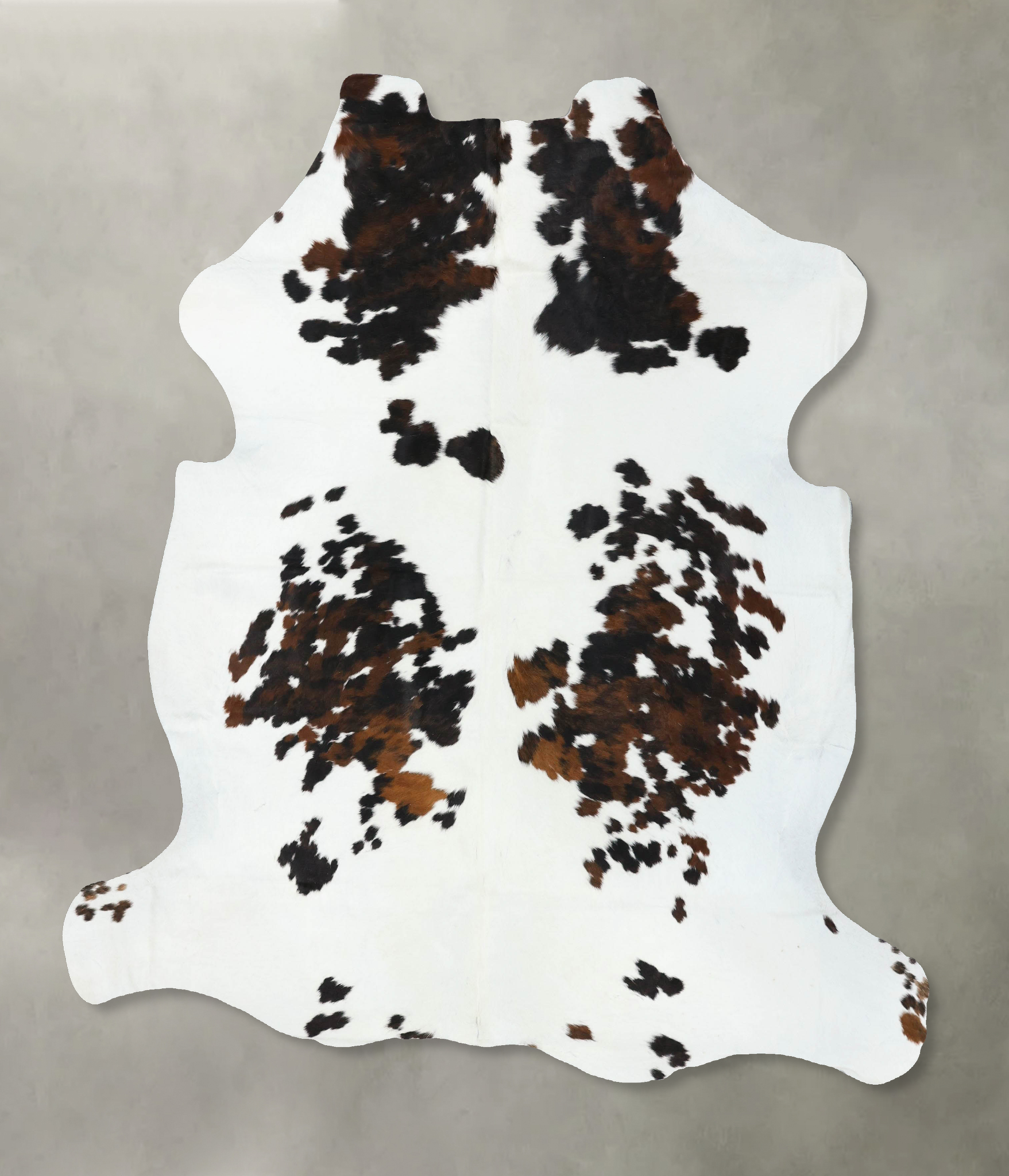Tricolor Cowhide Rug #B22516