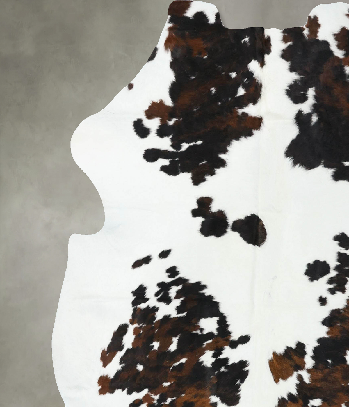 Tricolor X-Large European Cowhide Rug 7'3"H x 6'10"W #B22516 by Hudson Hides