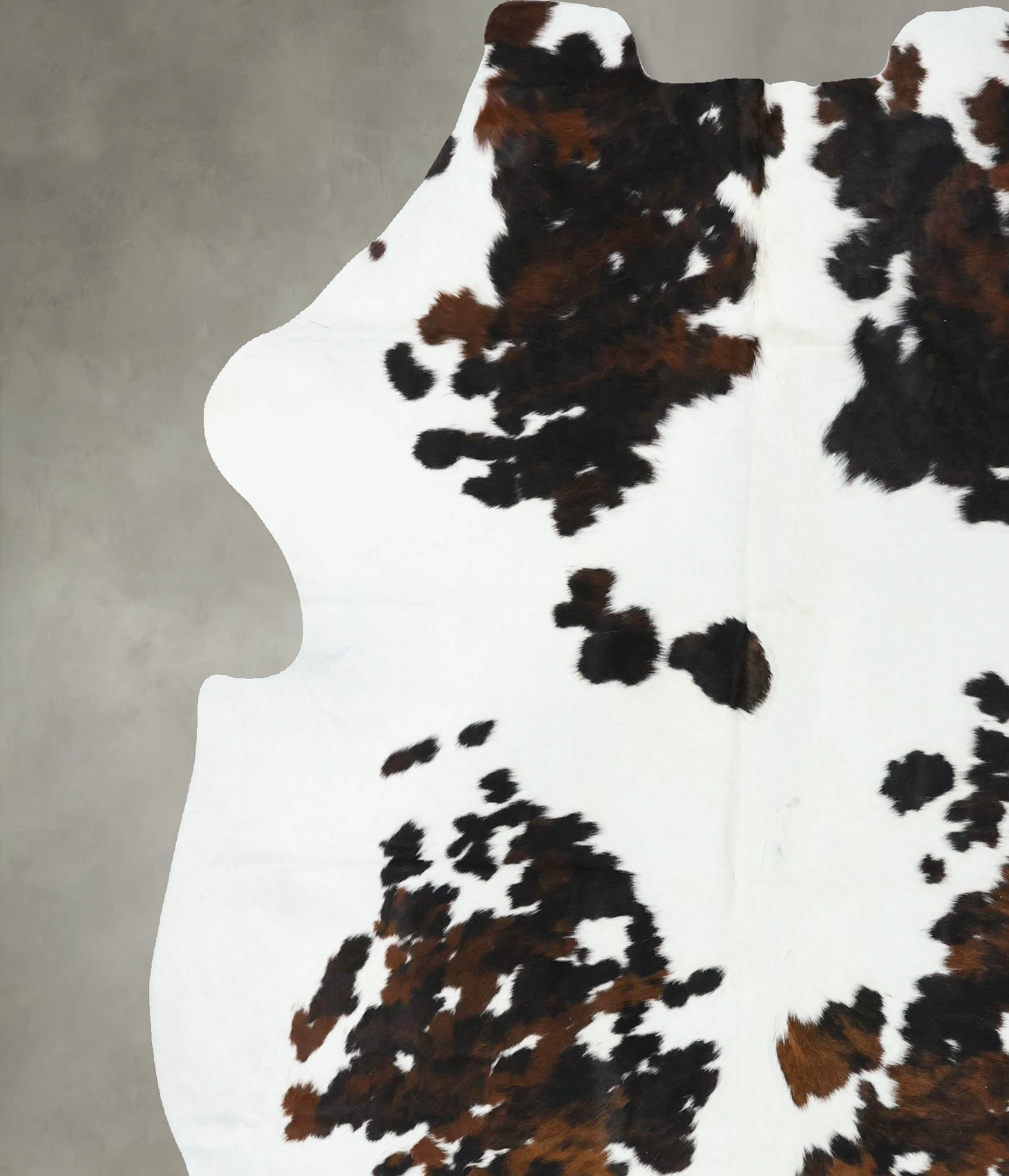 Tricolor Cowhide Rug #B22516