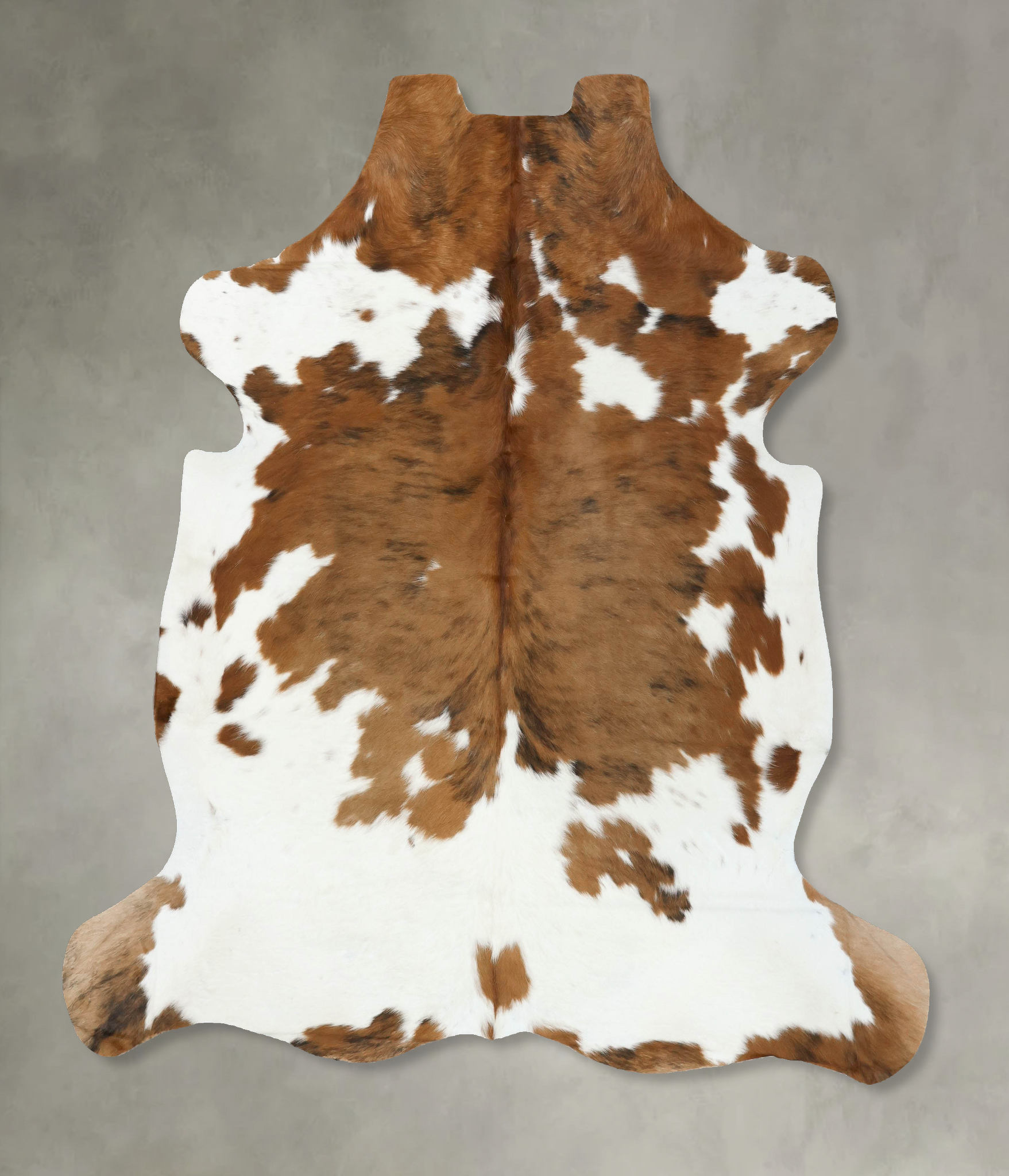 Tricolor Cowhide Rug #B22518
