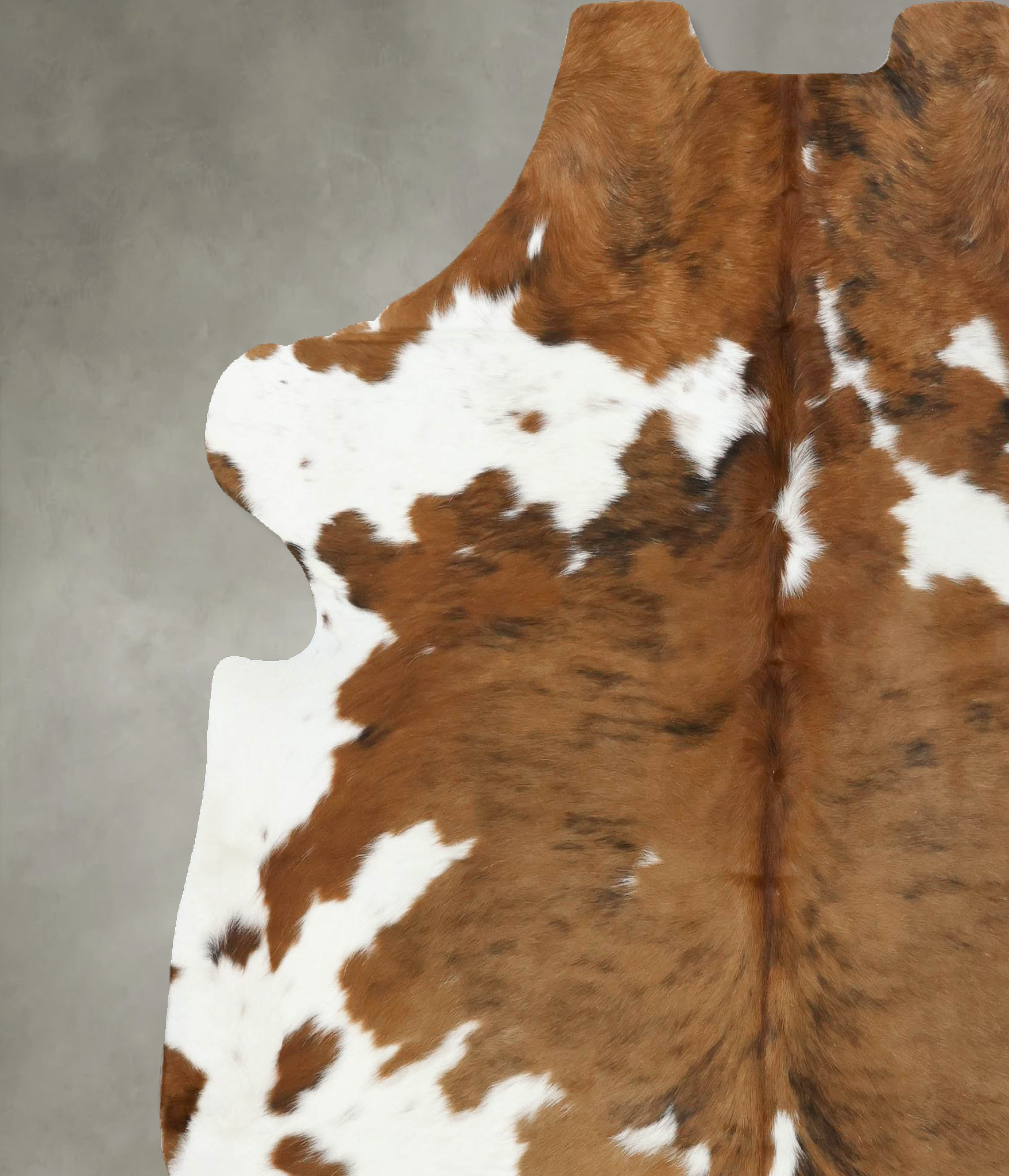 Tricolor Cowhide Rug #B22518