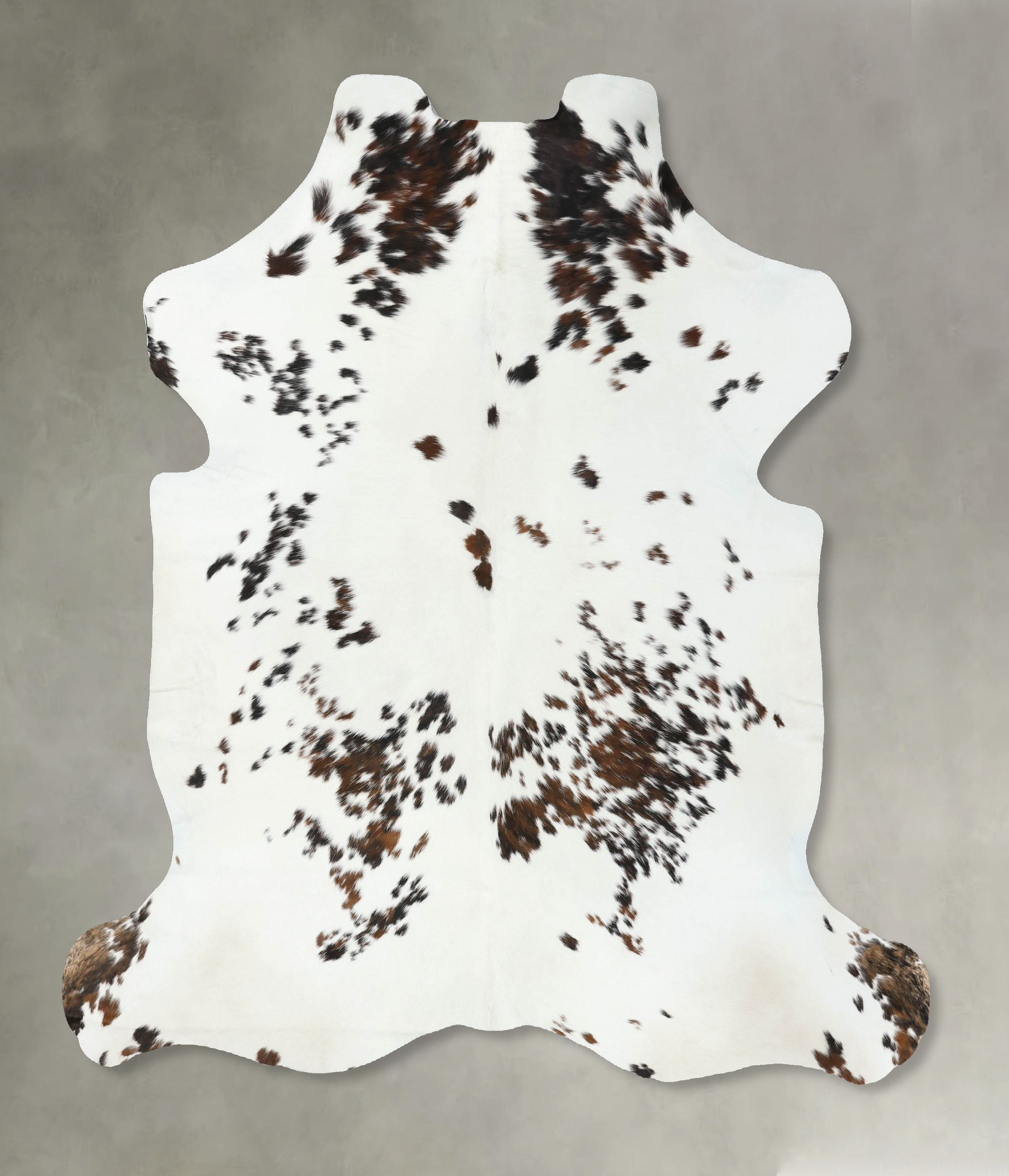 Tricolor Cowhide Rug #B22520