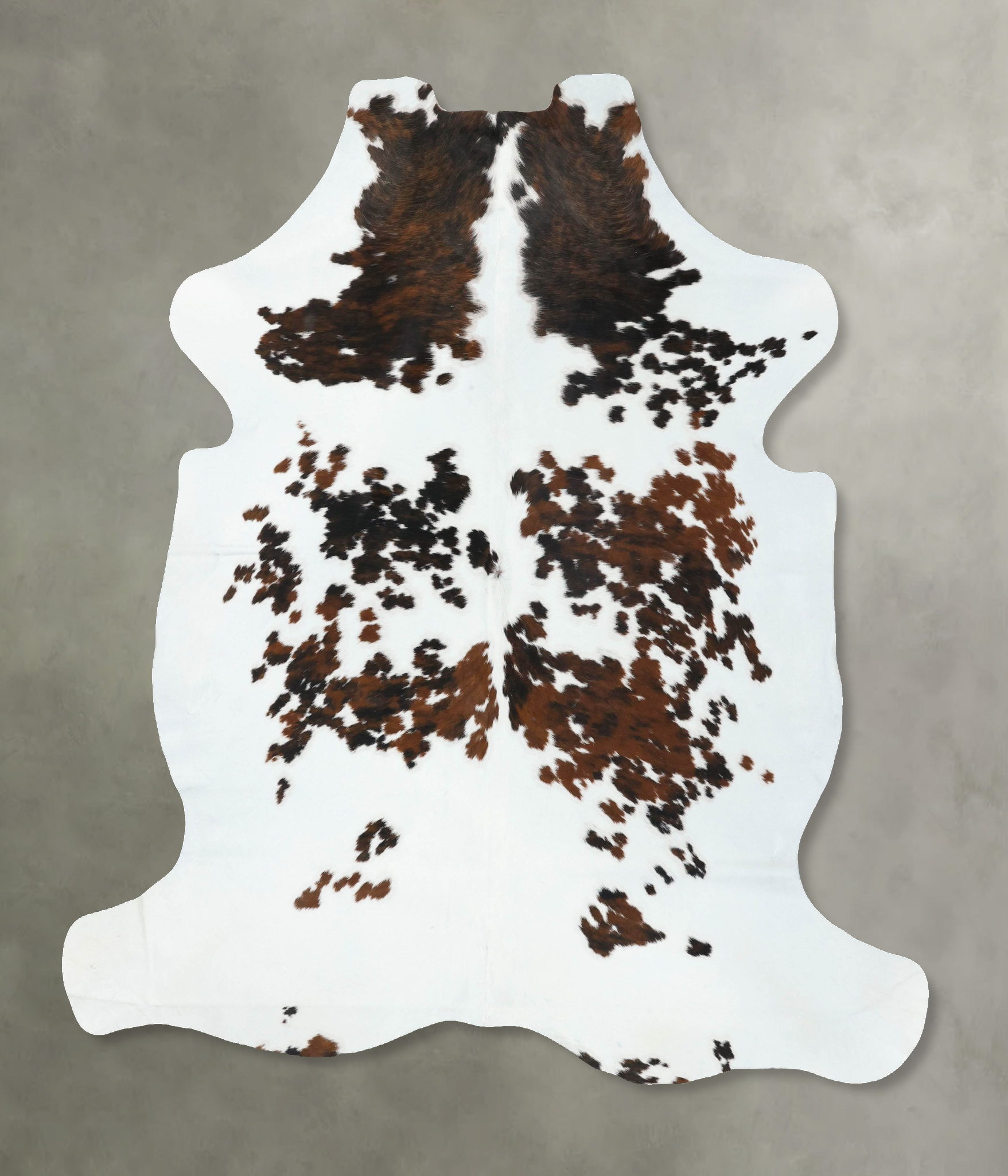 Tricolor Cowhide Rug #B22523