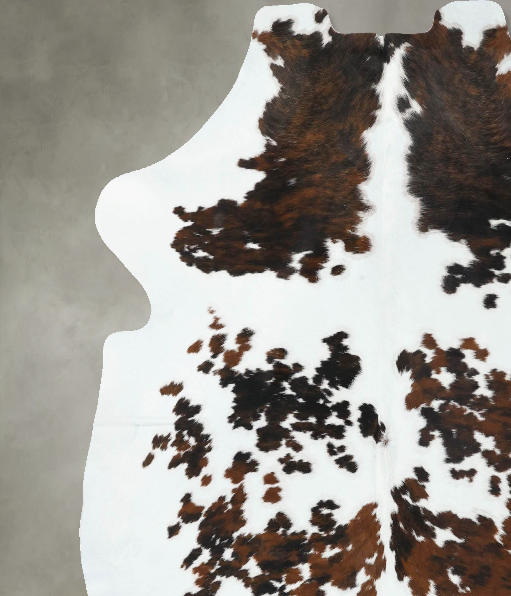 Tricolor Cowhide Rug #B22523