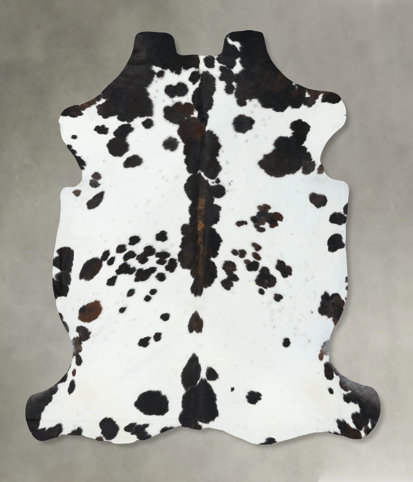 Tricolor Cowhide Rug #B22526