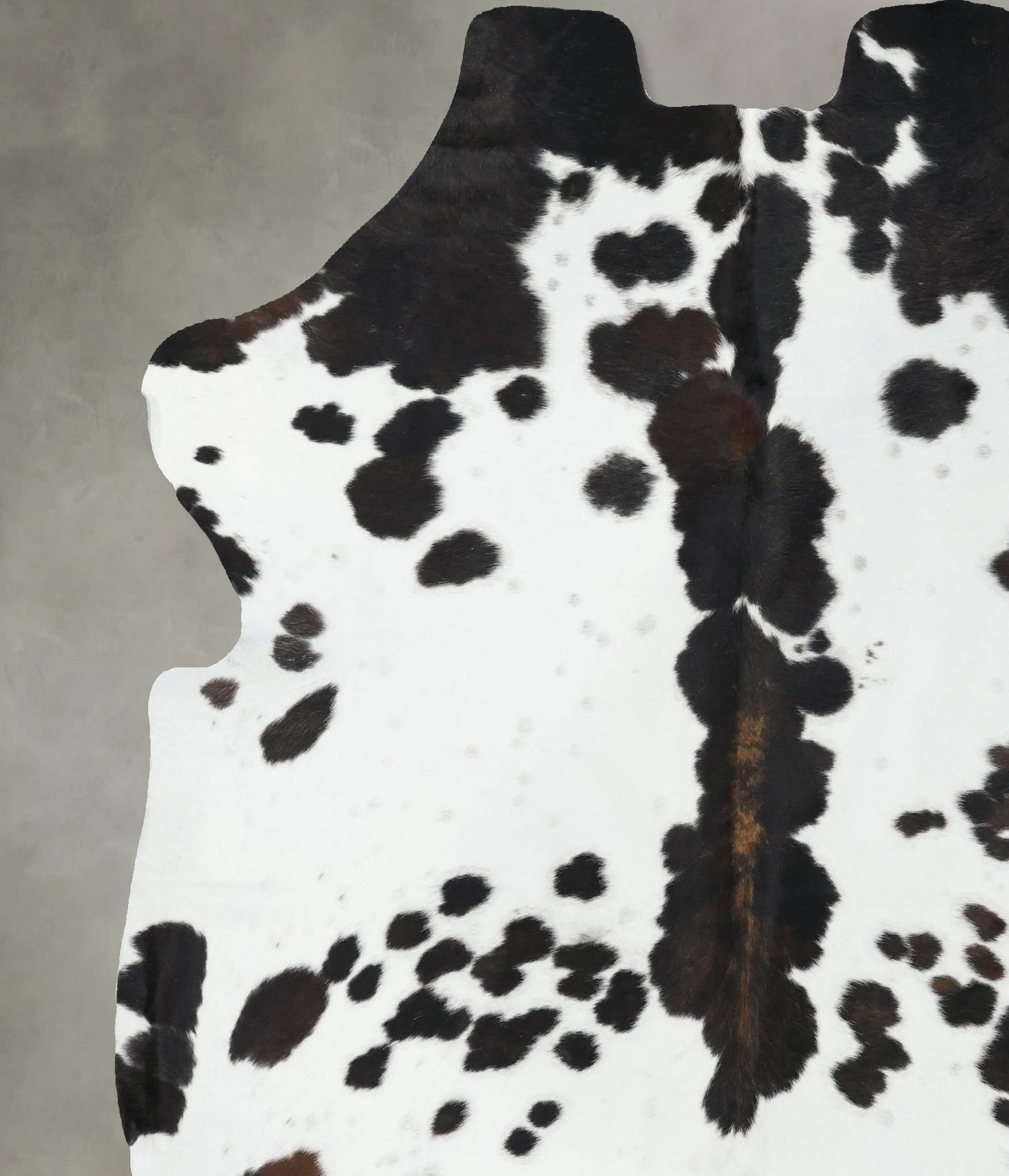 Tricolor Cowhide Rug #B22526