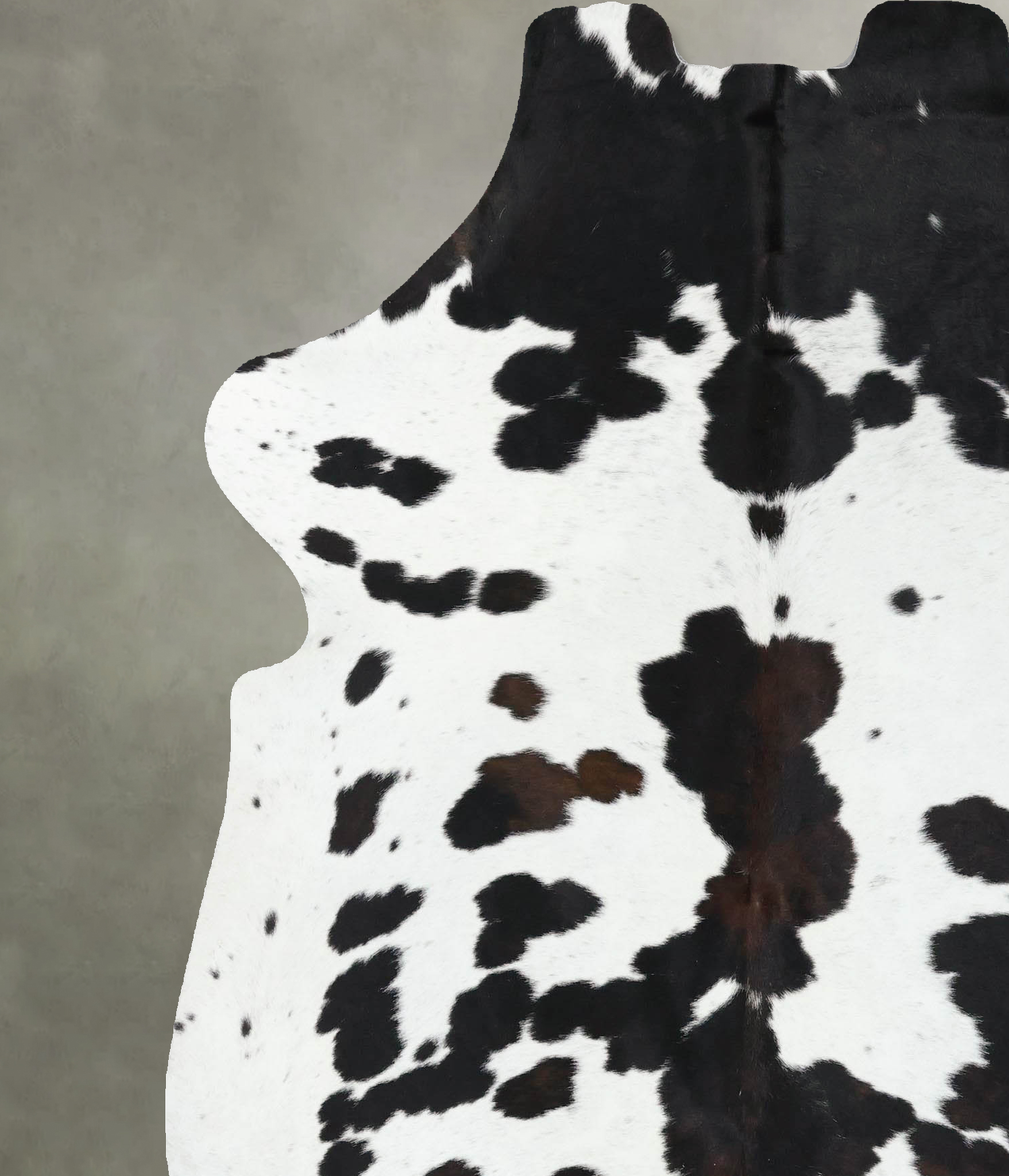 Tricolor Cowhide Rug #B22527