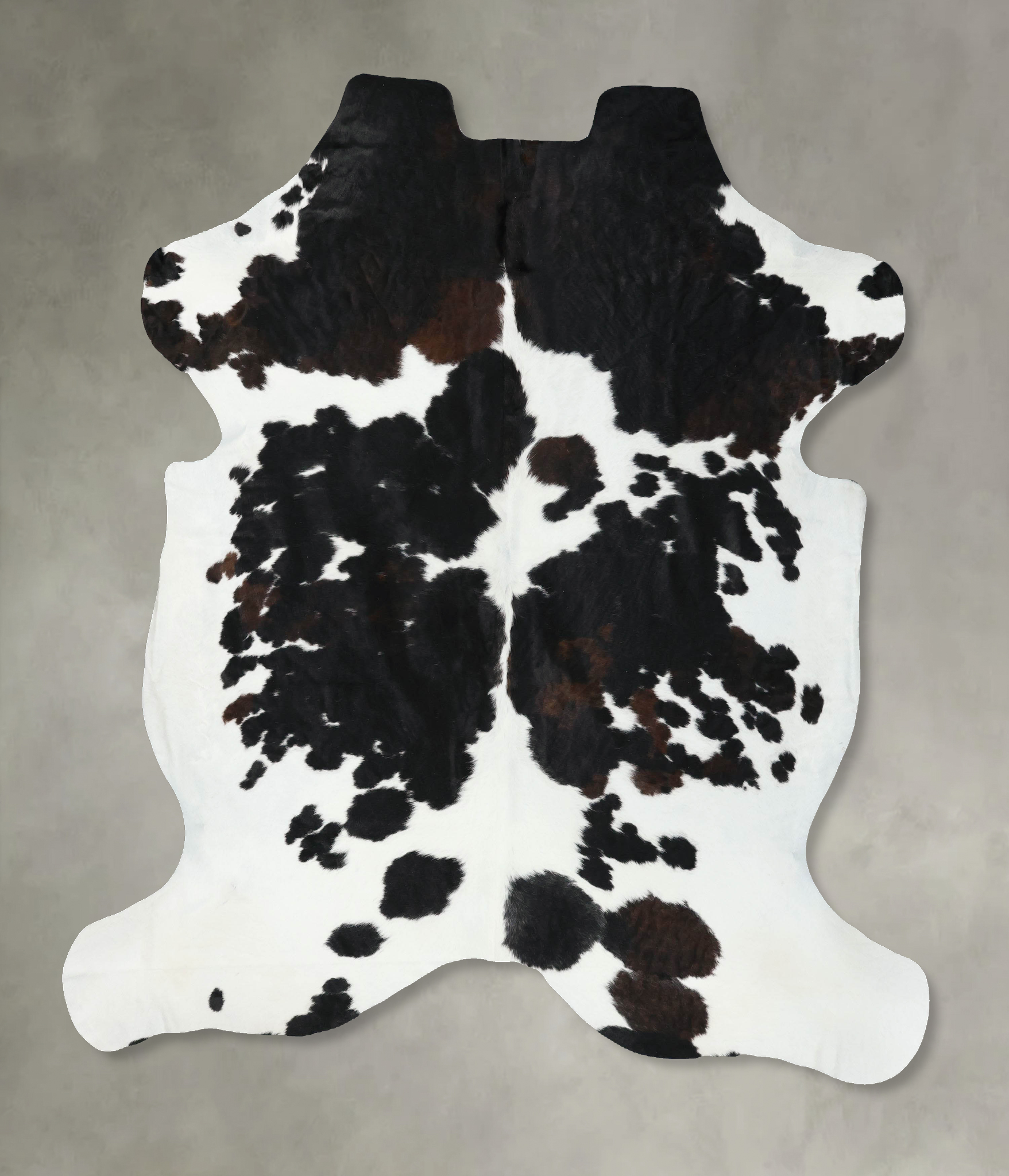 Tricolor Cowhide Rug #B22529
