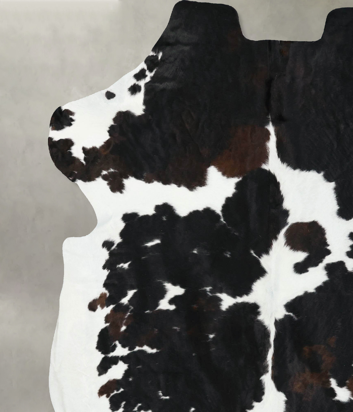 Tricolor XX-Large European Cowhide Rug 7'10"H x 6'9"W #B22529 by Hudson Hides