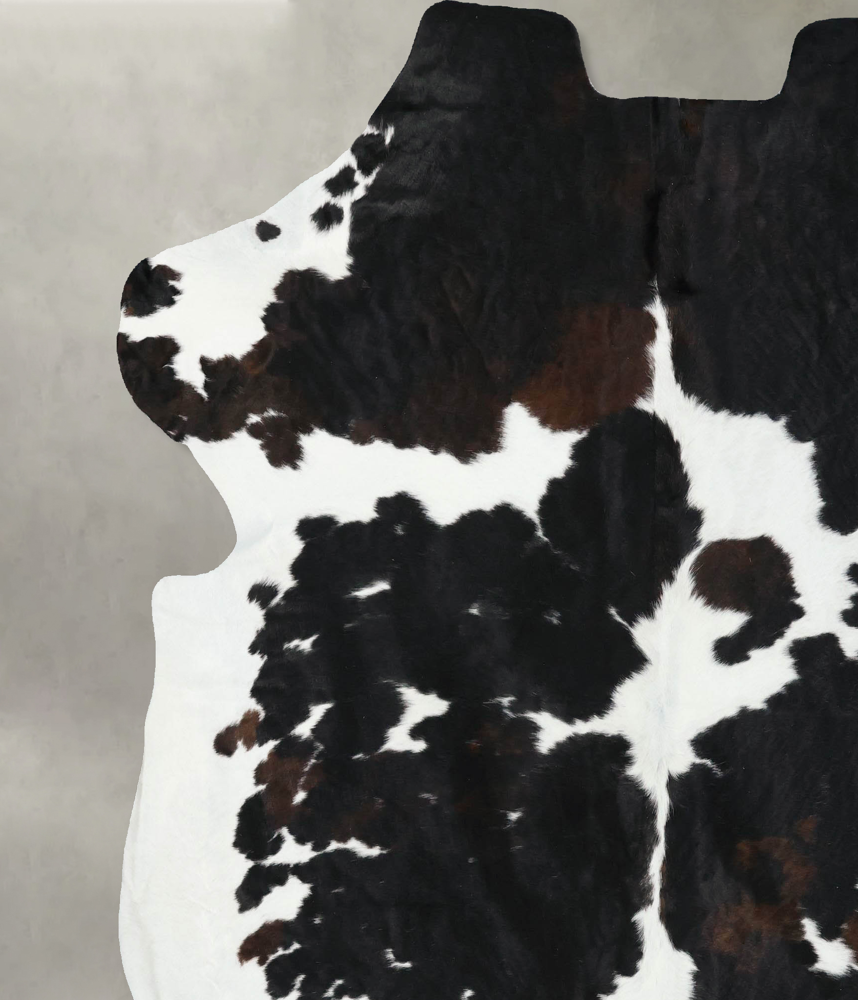 Tricolor Cowhide Rug #B22529