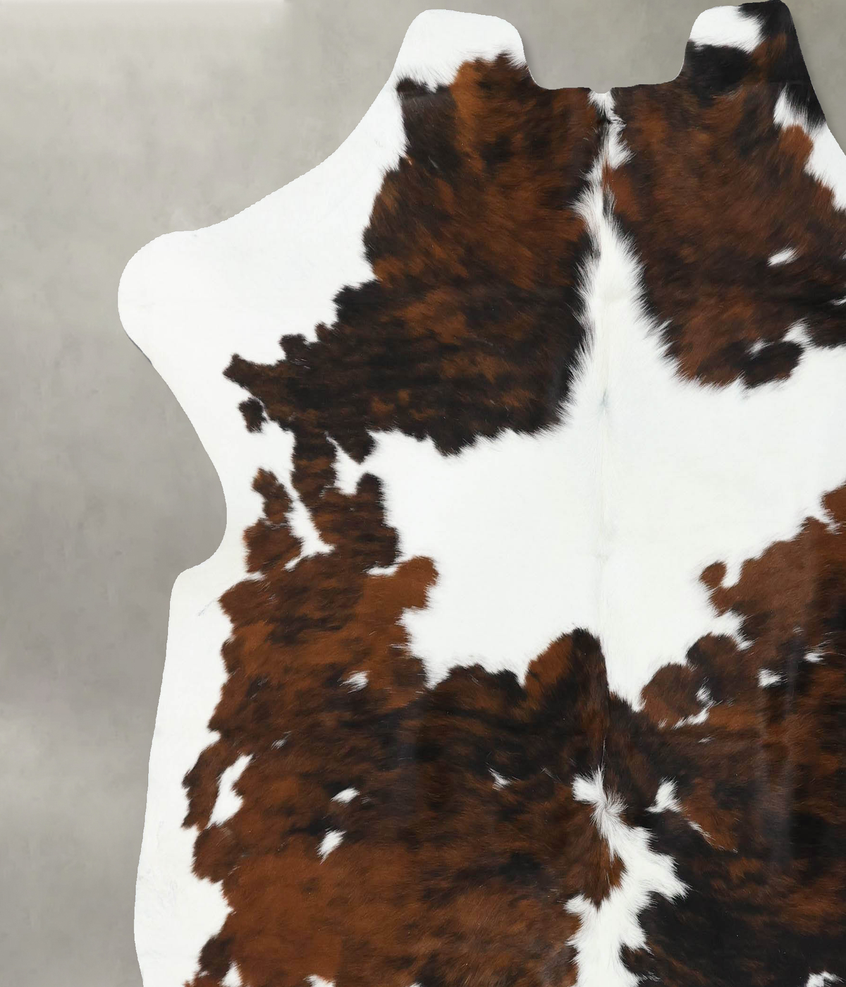 Tricolor X-Large European Cowhide Rug 7'0"H x 7'0"W #B22531 by Hudson Hides
