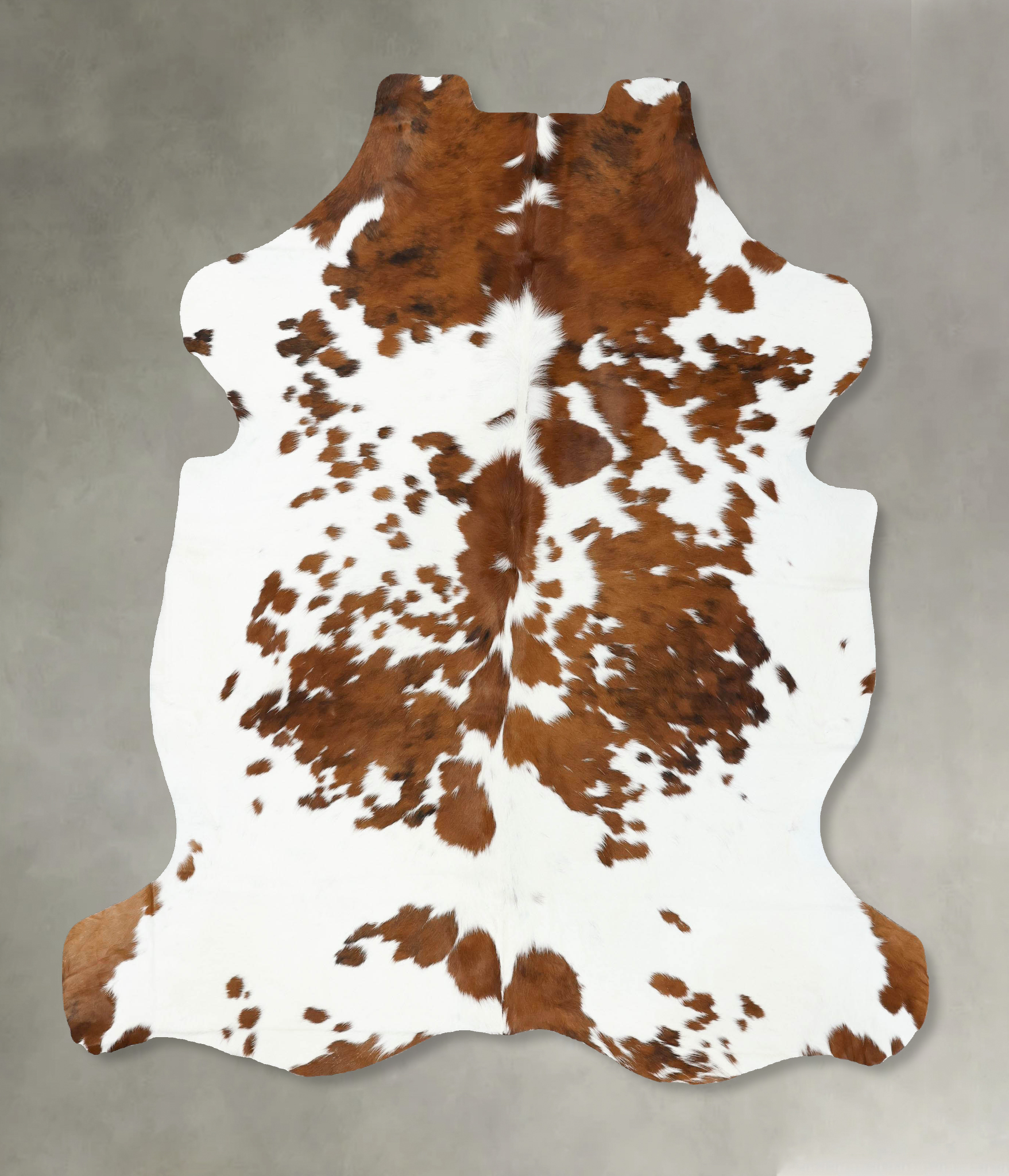 Tricolor Cowhide Rug #B22532