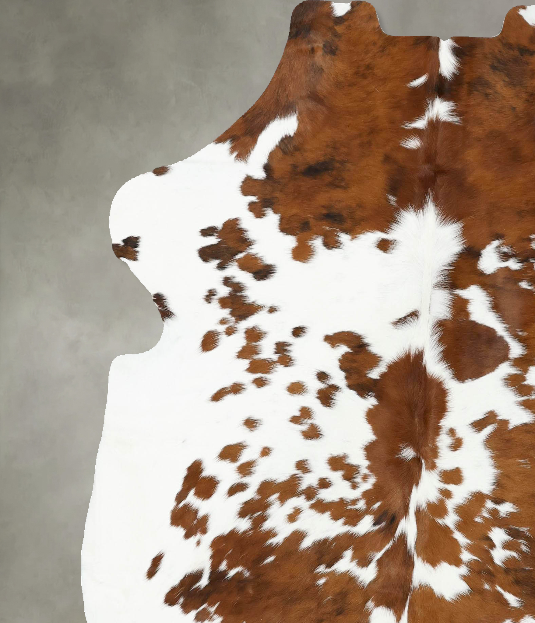 Tricolor Cowhide Rug #B22532