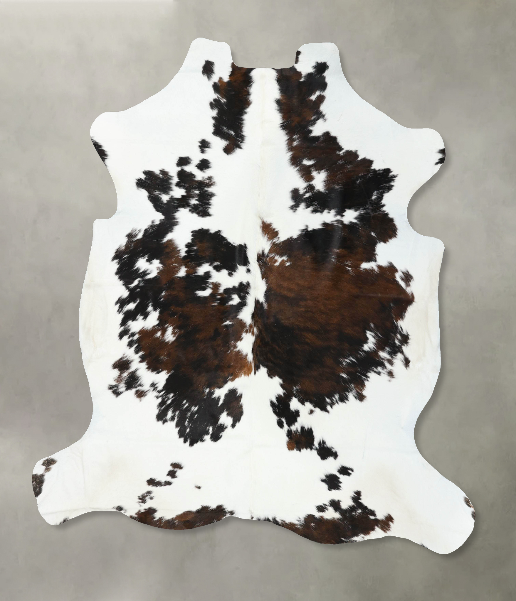 Tricolor Cowhide Rug #B22533