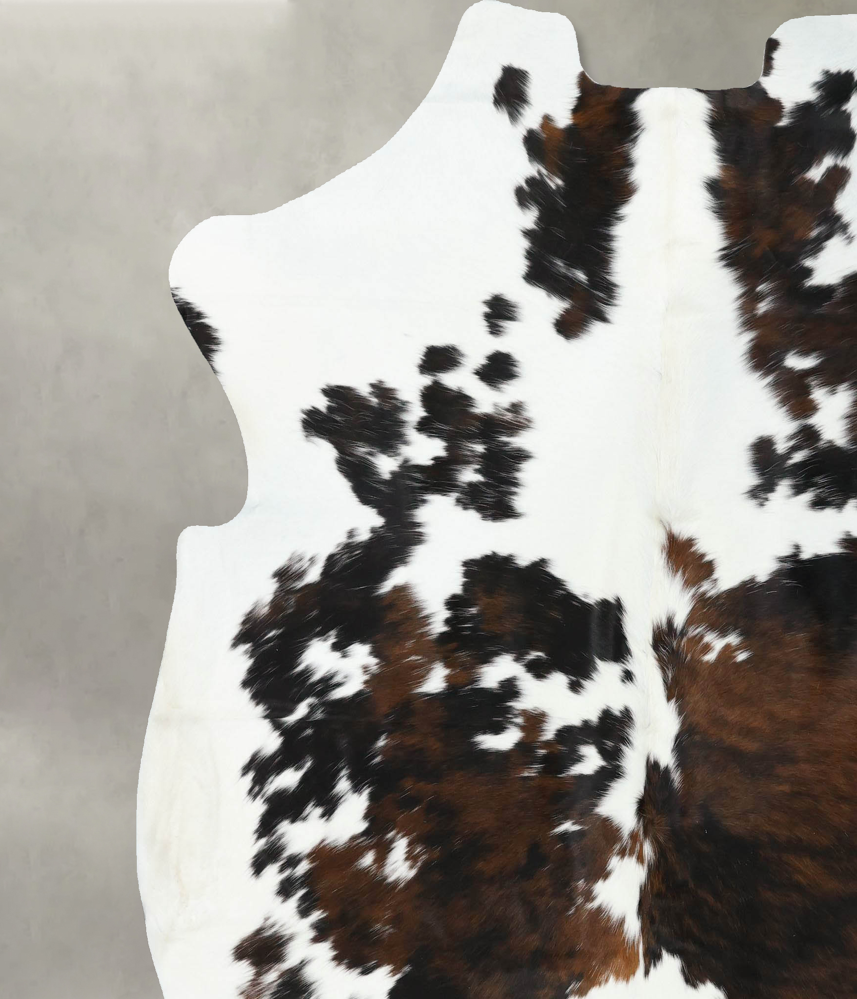 Tricolor Cowhide Rug #B22533