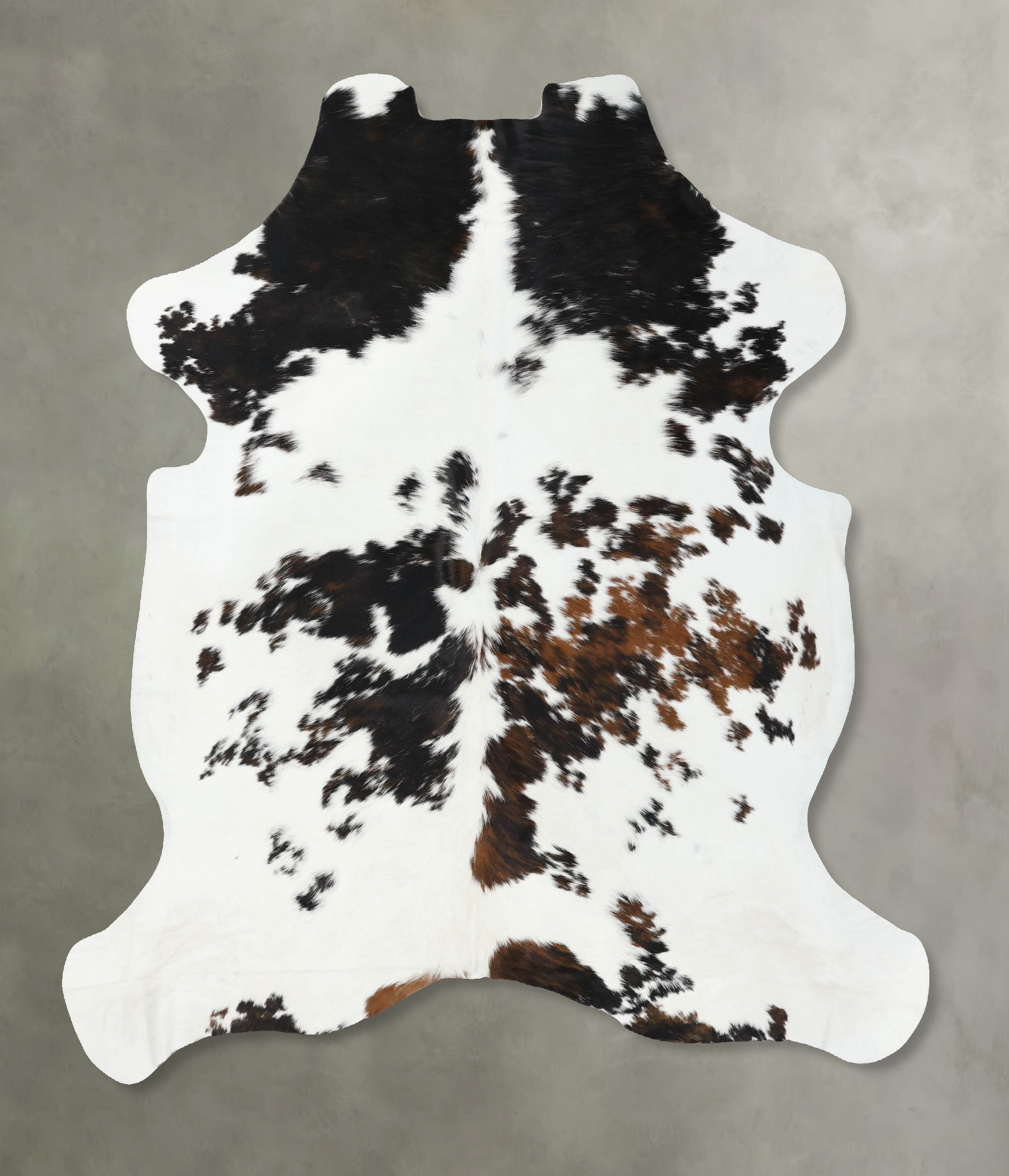 Tricolor Cowhide Rug #B22538