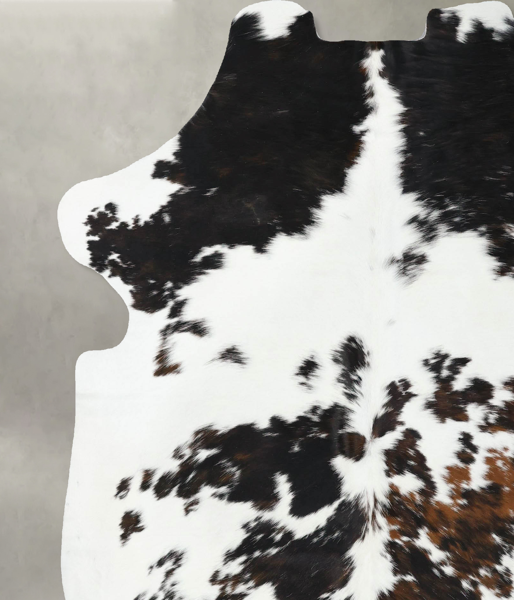 Tricolor Cowhide Rug #B22538