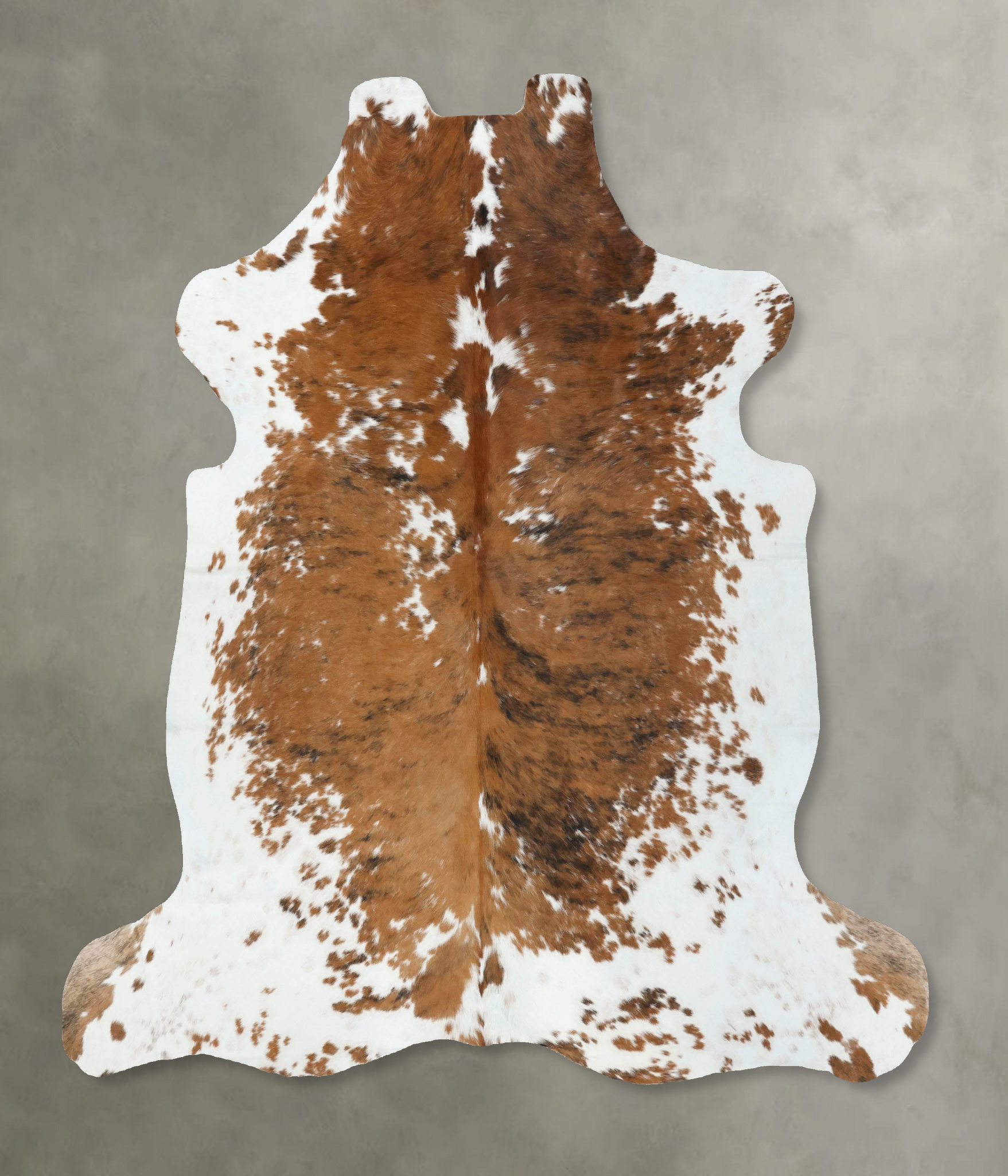 Tricolor Cowhide Rug #B22539