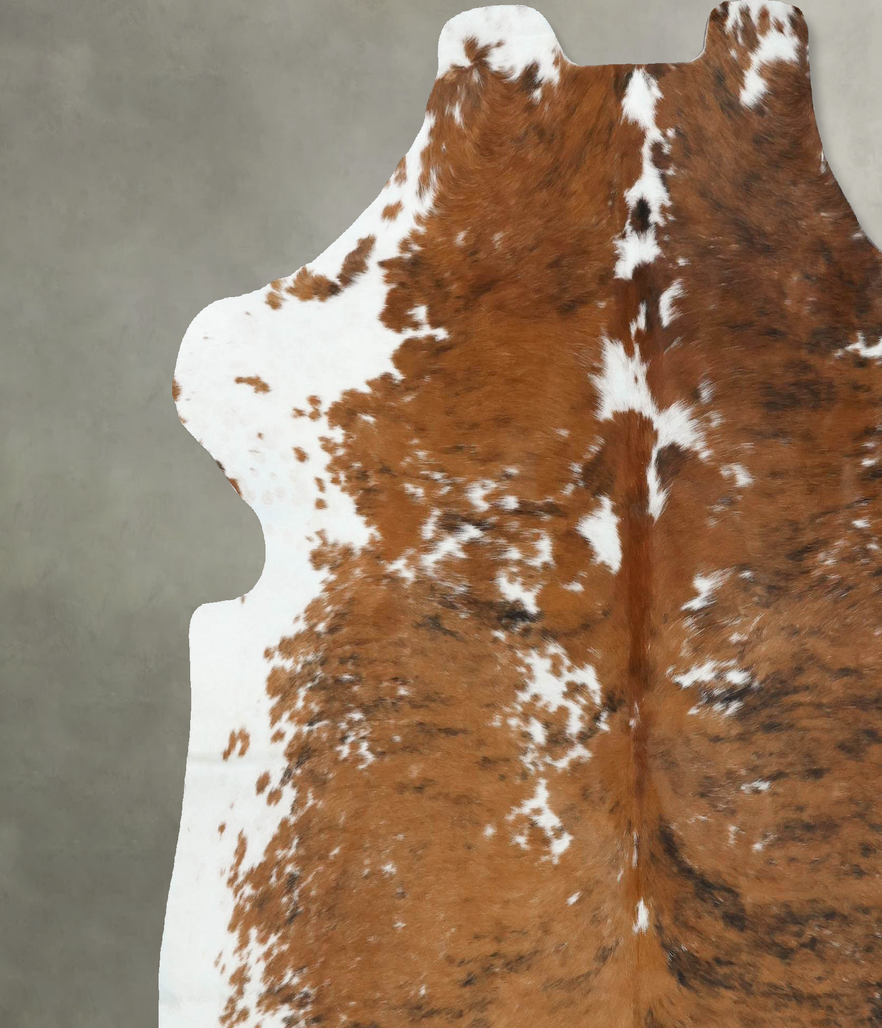 Tricolor Cowhide Rug #B22539