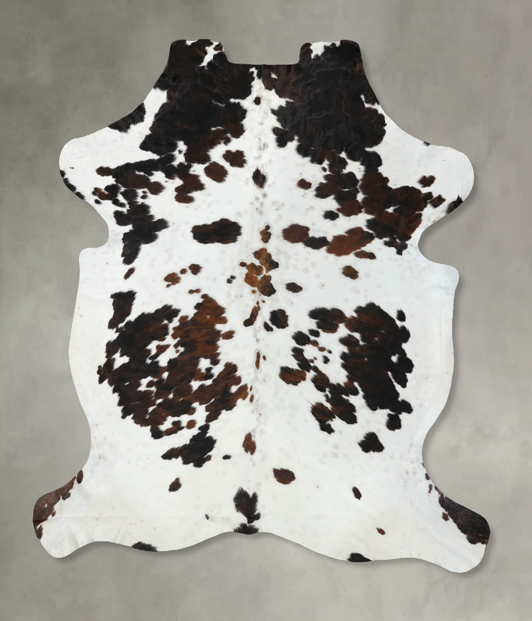 Tricolor Cowhide Rug #B22543