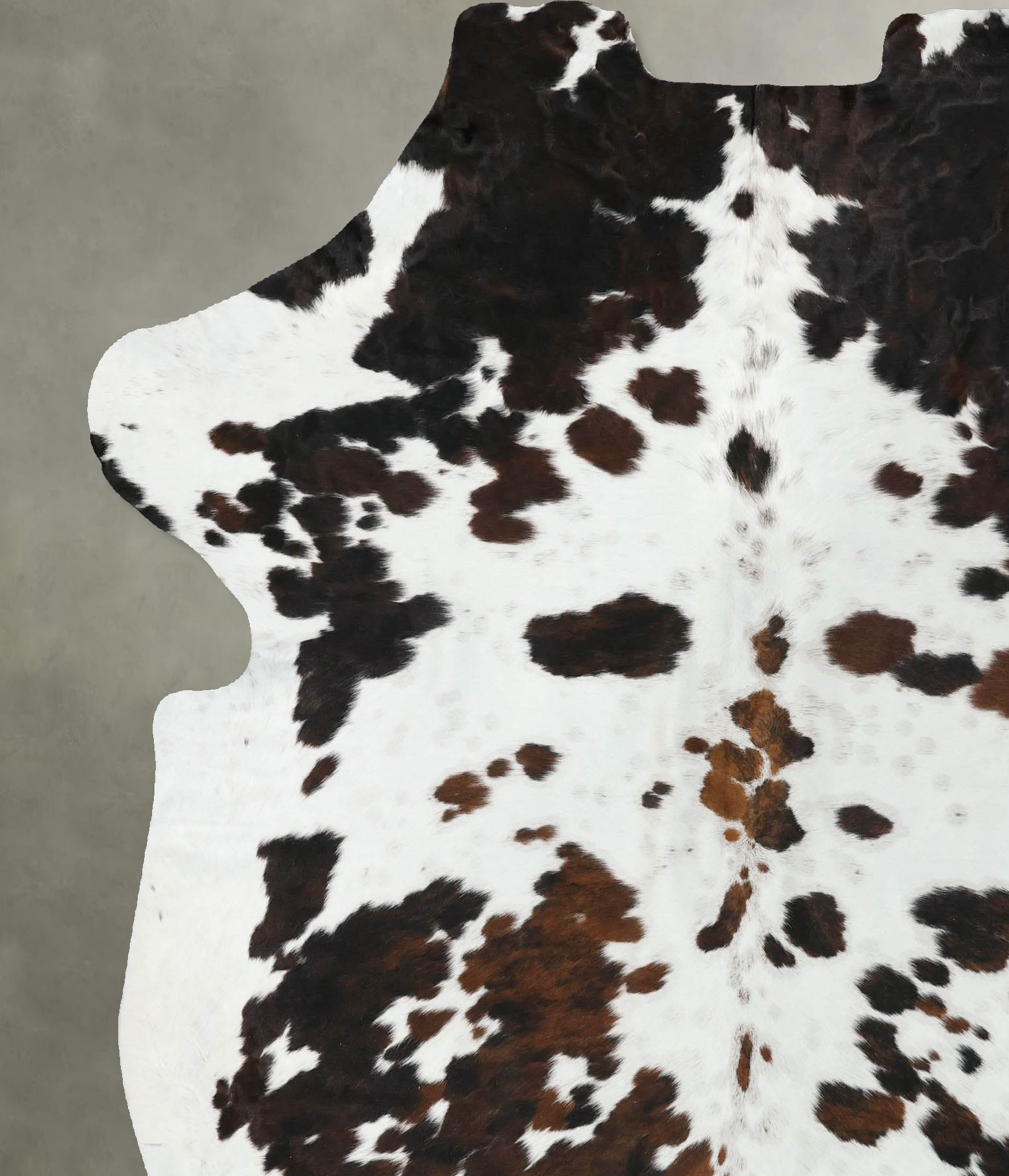 Tricolor Cowhide Rug #B22543