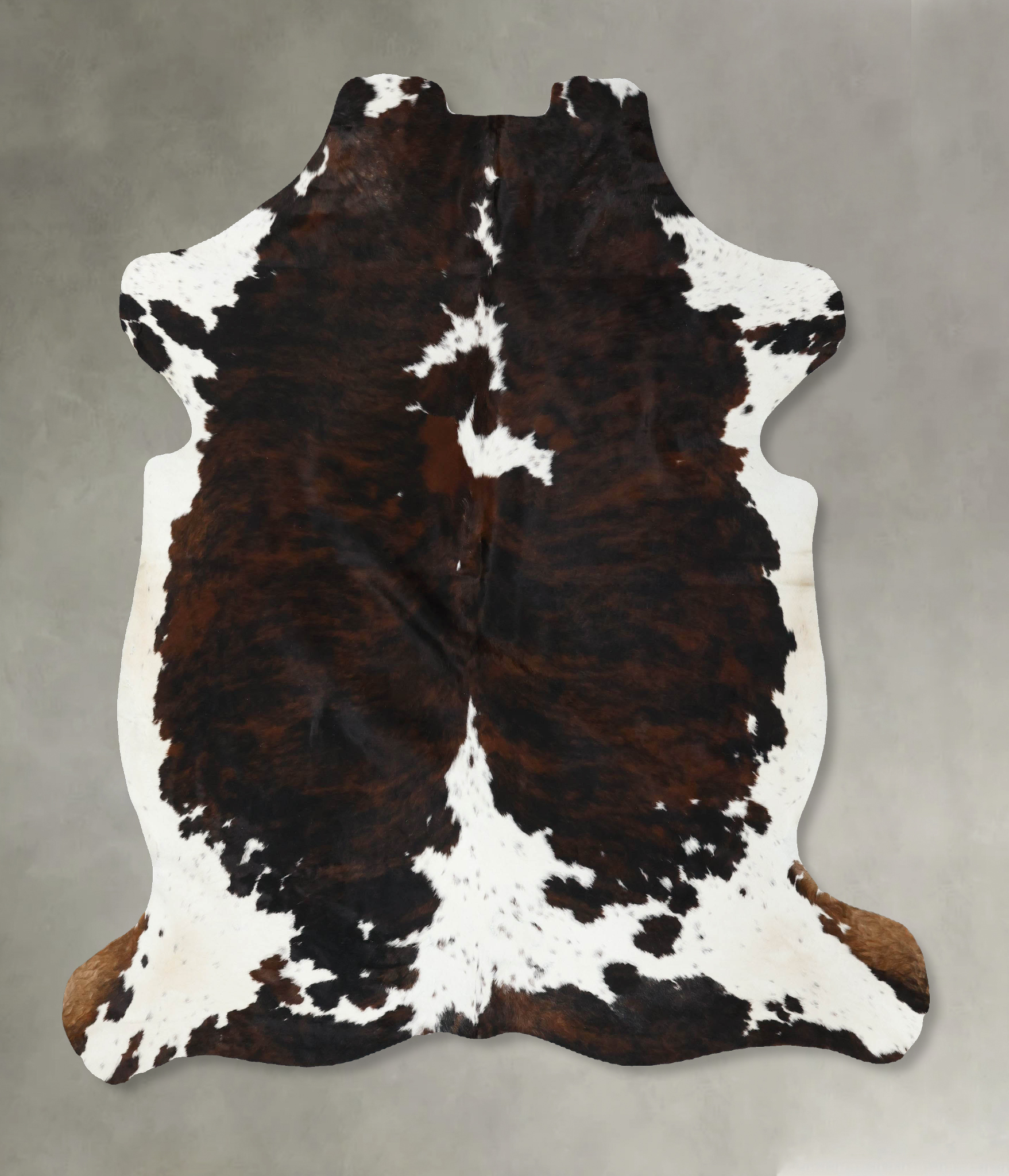 Tricolor Cowhide Rug #B22544