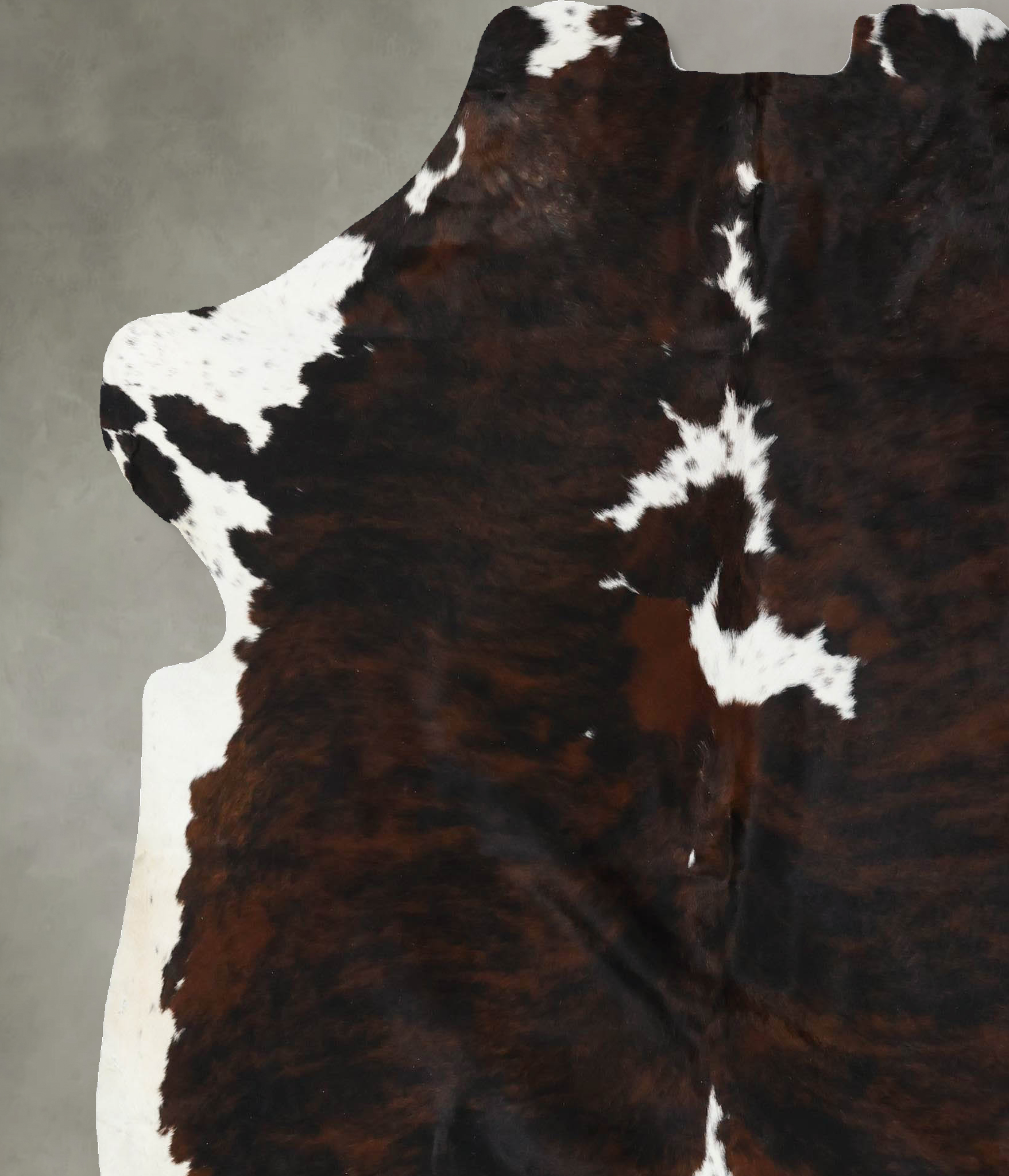 Tricolor Cowhide Rug #B22544