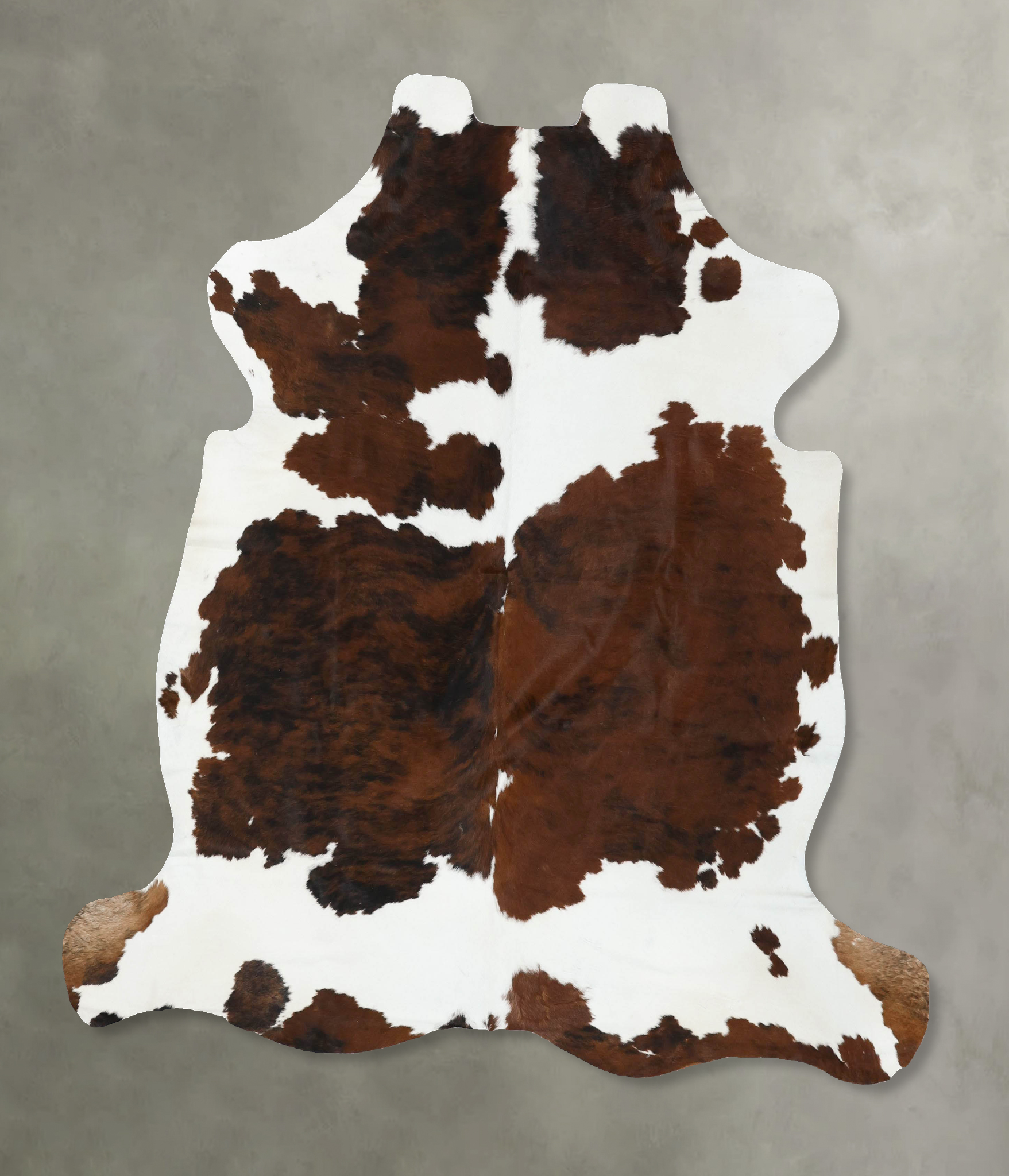 Tricolor Cowhide Rug #B22545