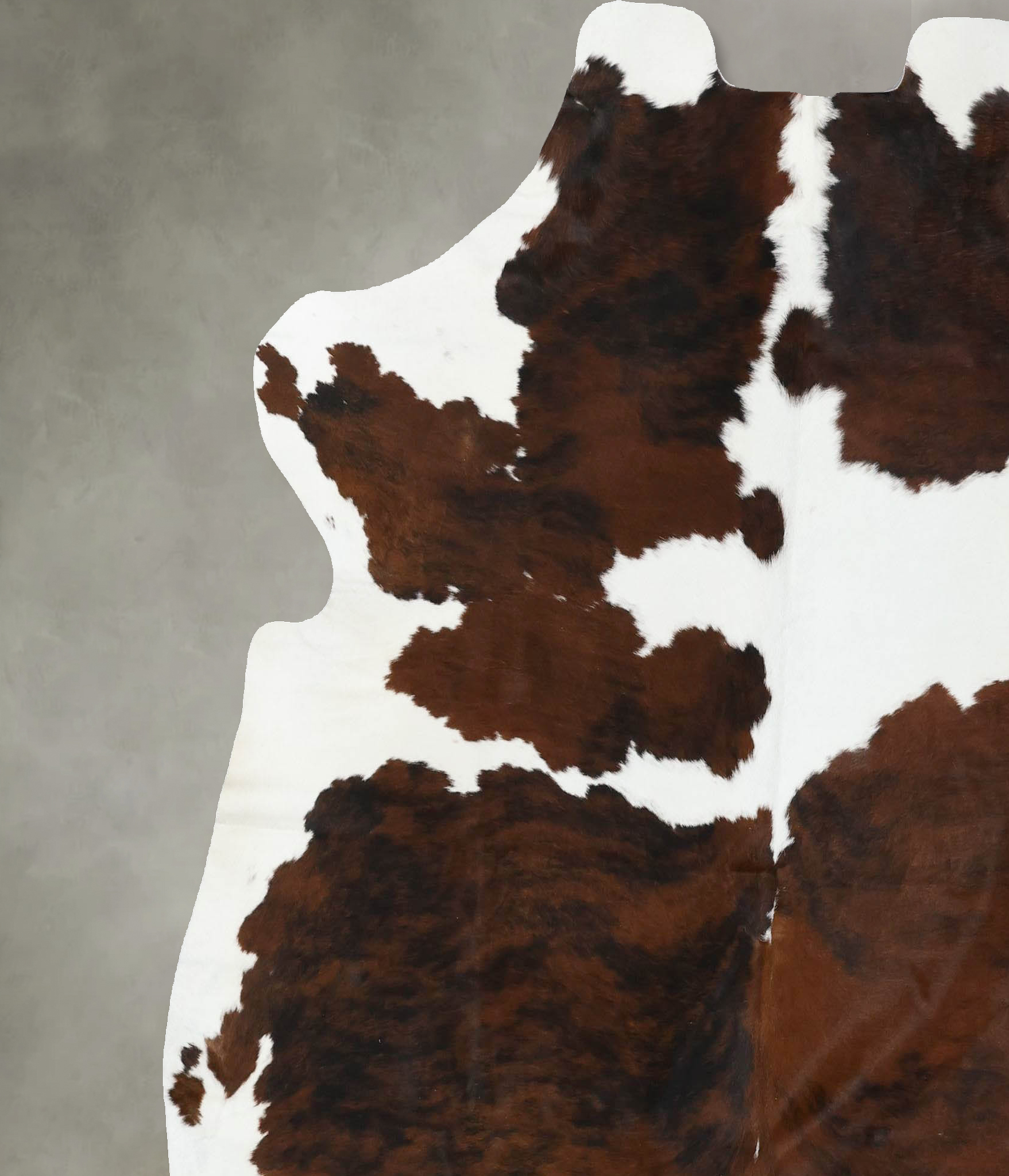 Tricolor Cowhide Rug #B22545