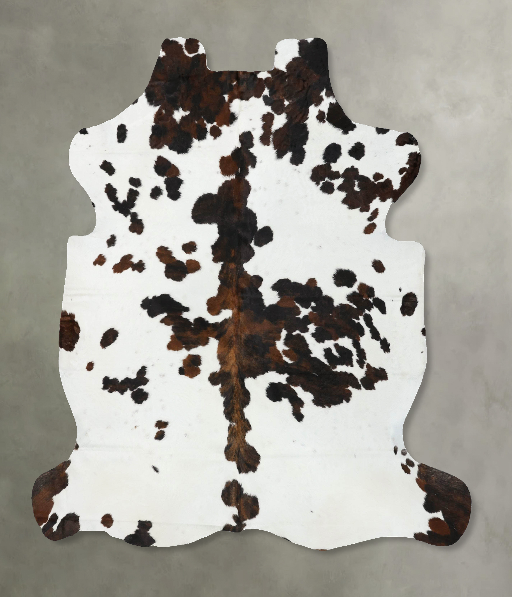 Tricolor Cowhide Rug #B22546