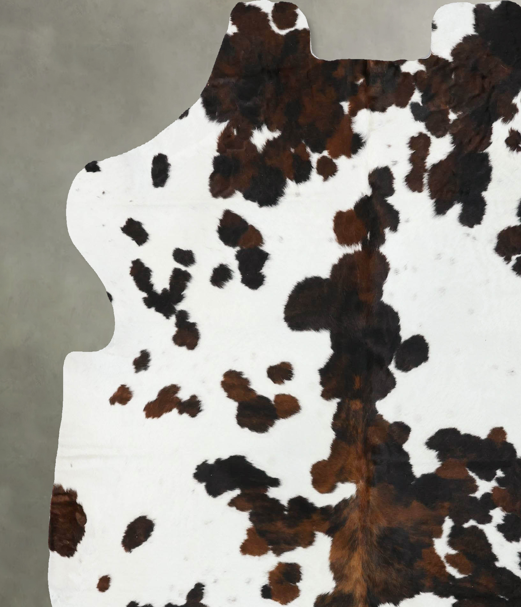 Tricolor Cowhide Rug #B22546