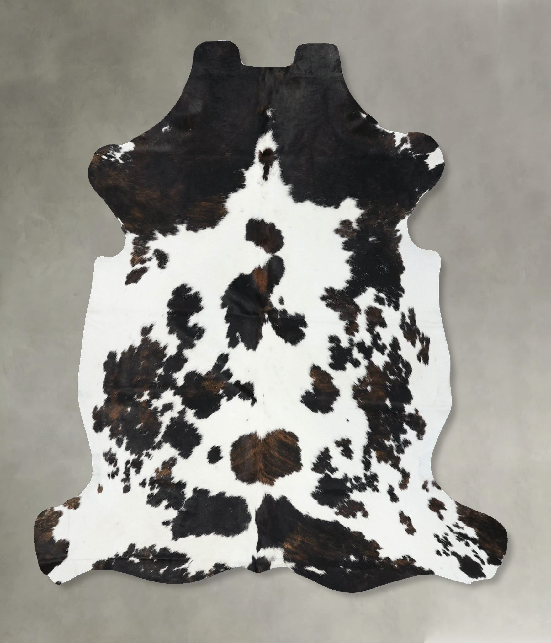 Tricolor Cowhide Rug #B22547