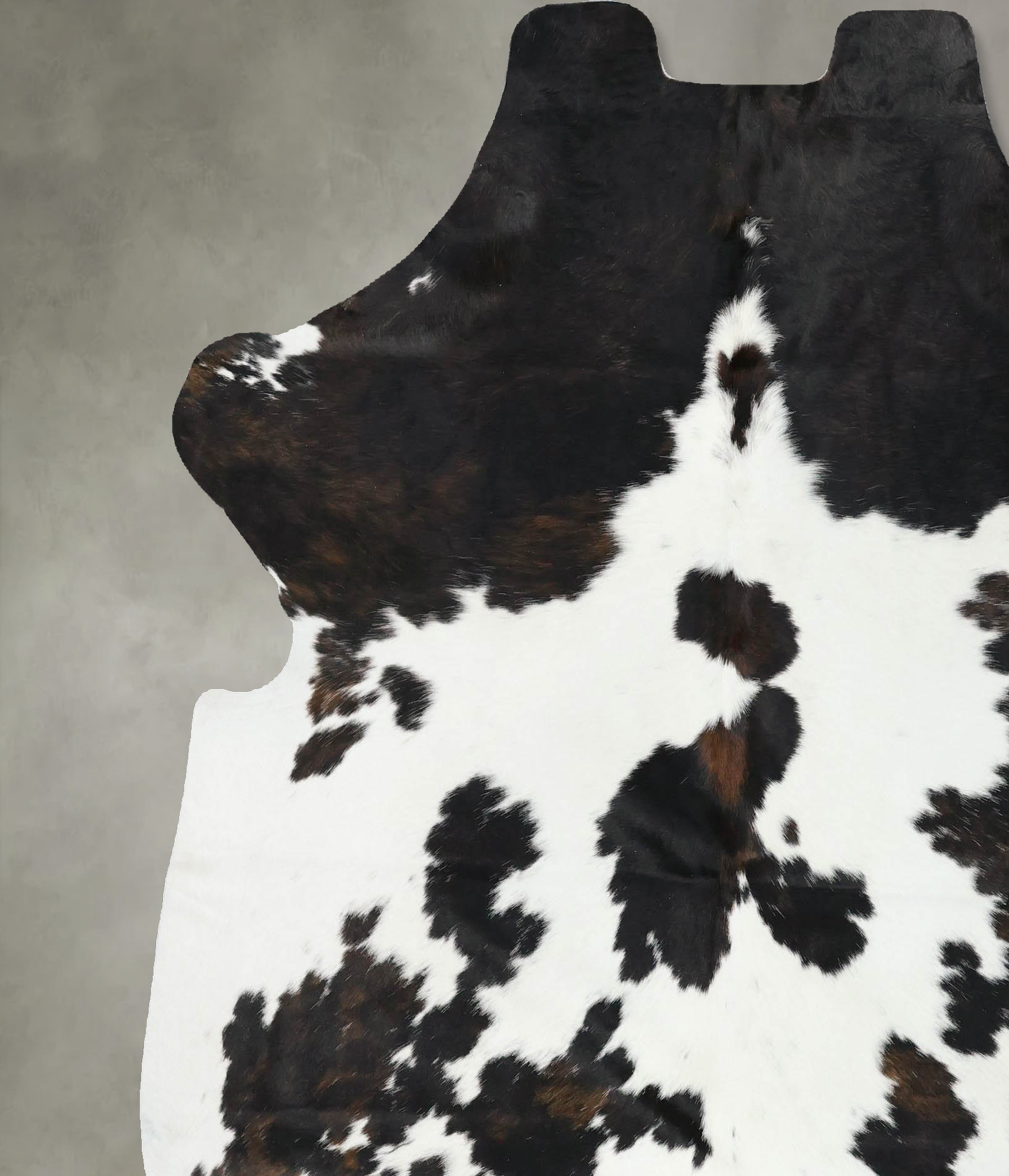 Tricolor Cowhide Rug #B22547