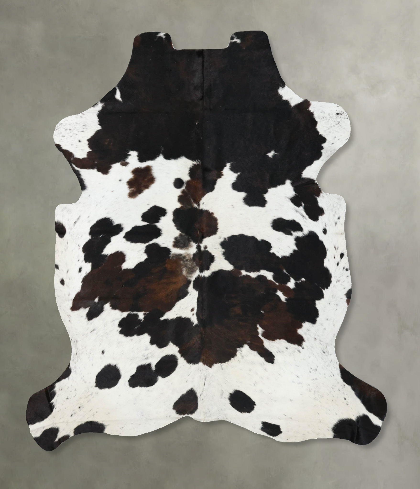 Tricolor Cowhide Rug #B22548