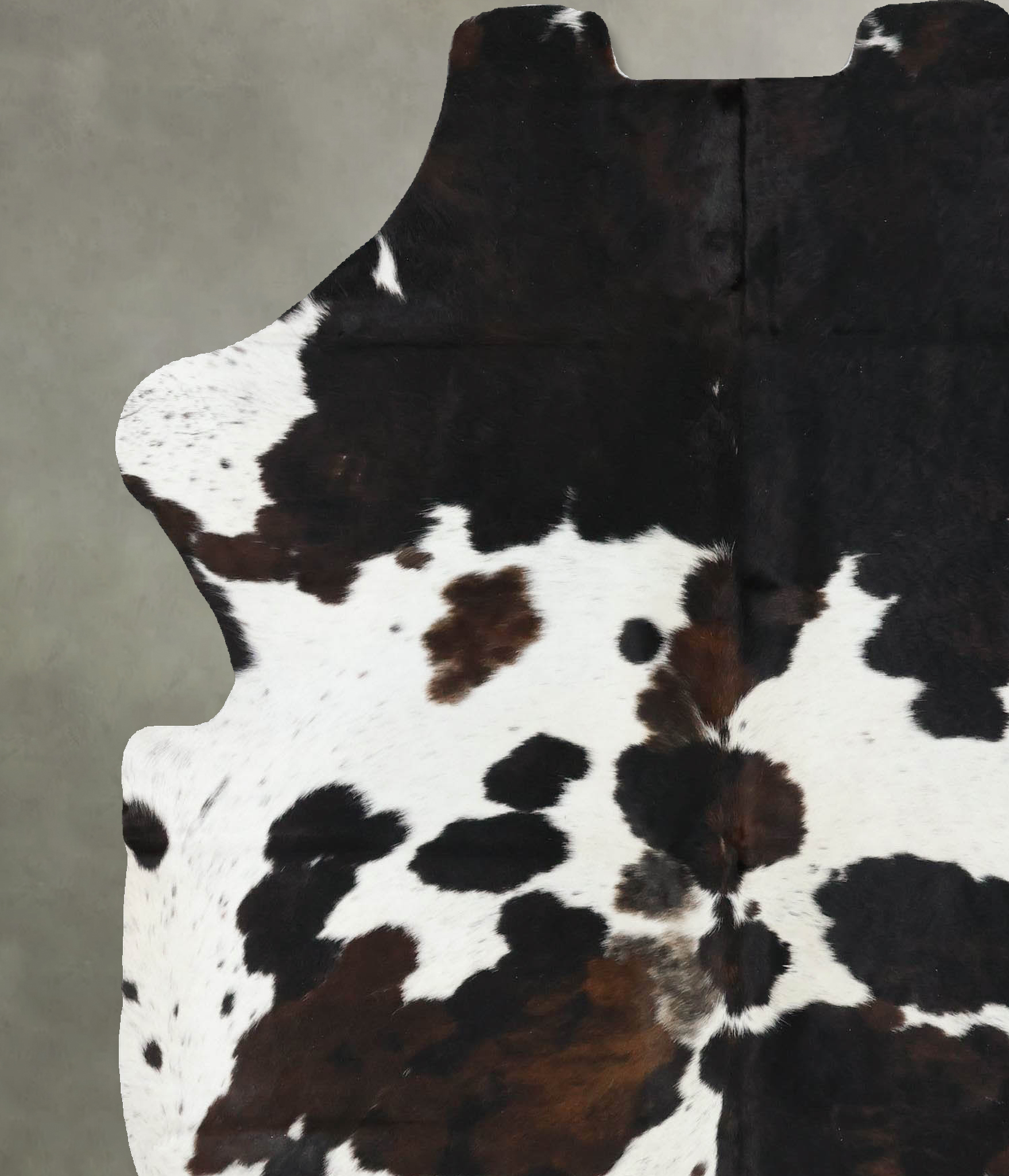 Tricolor Cowhide Rug #B22548