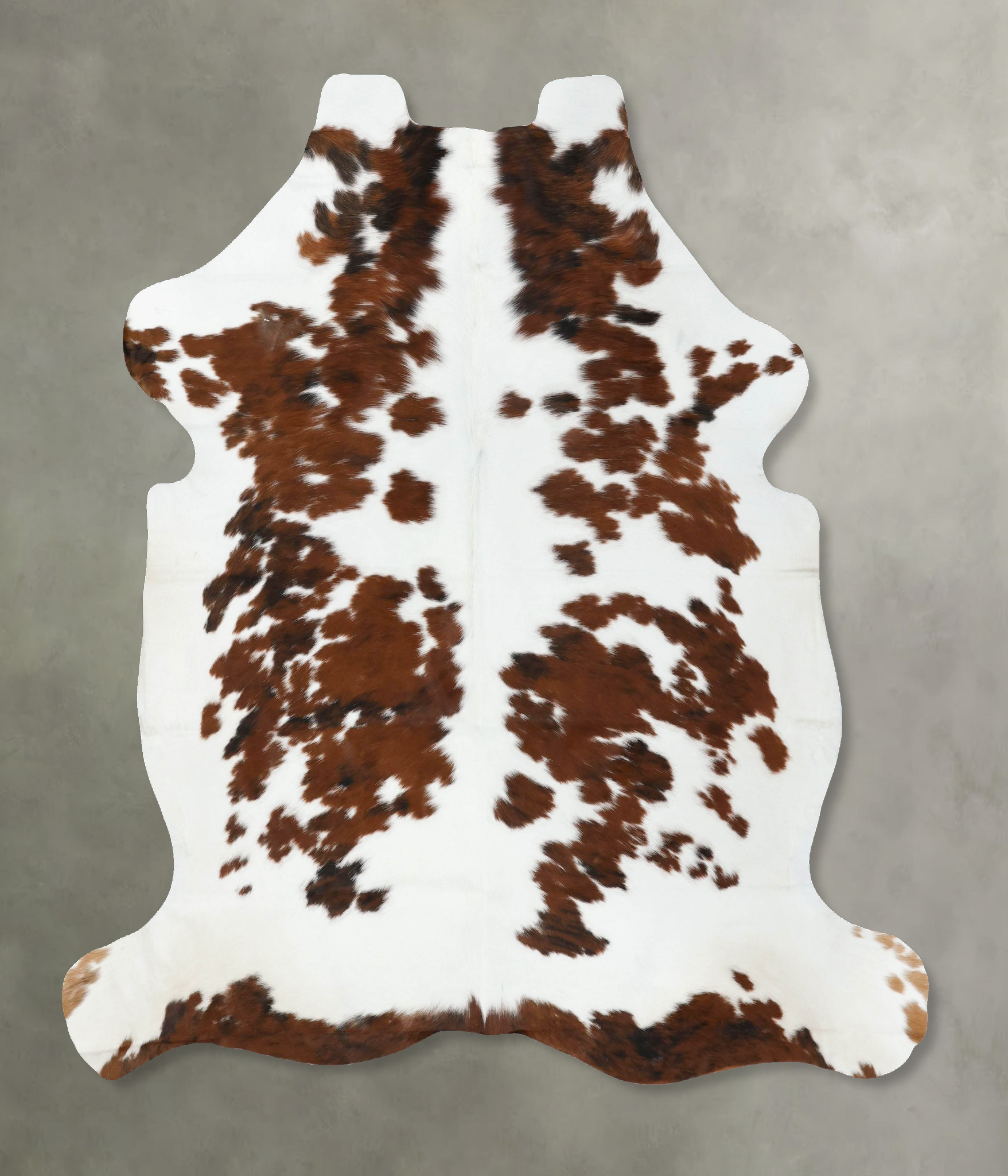 Tricolor Cowhide Rug #B22549