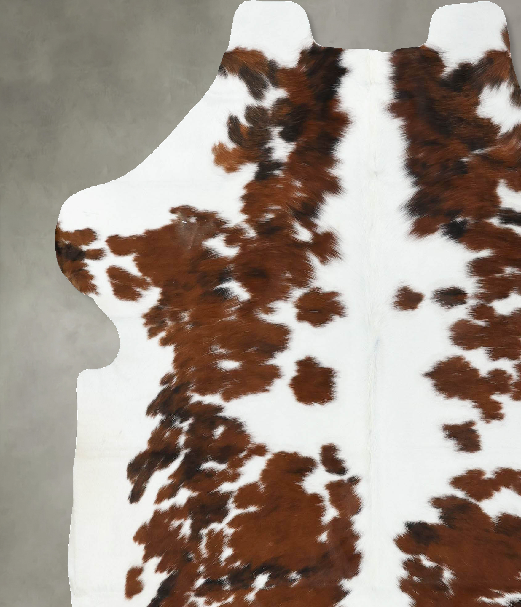 Tricolor Cowhide Rug #B22549