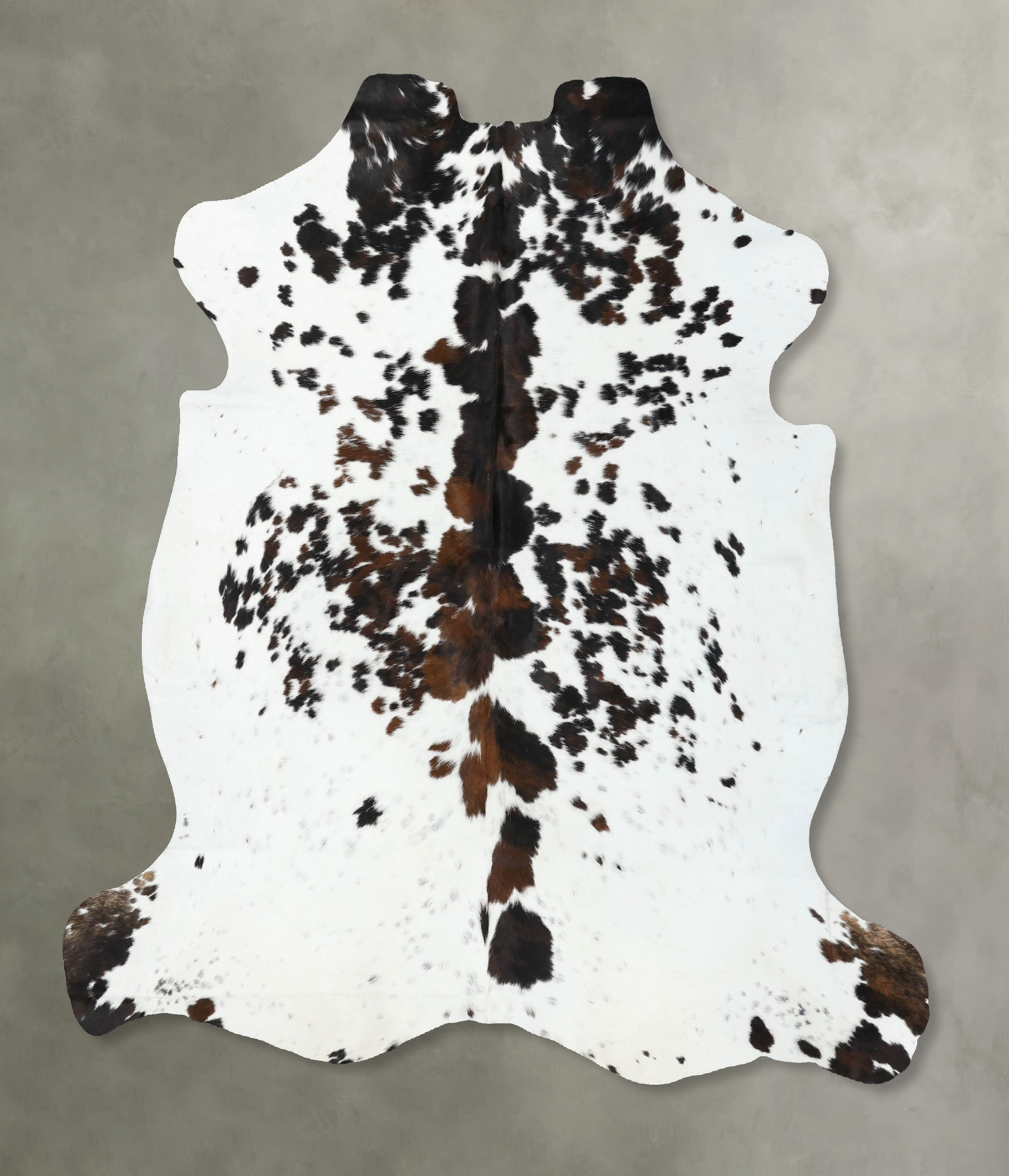 Tricolor Cowhide Rug #B22550