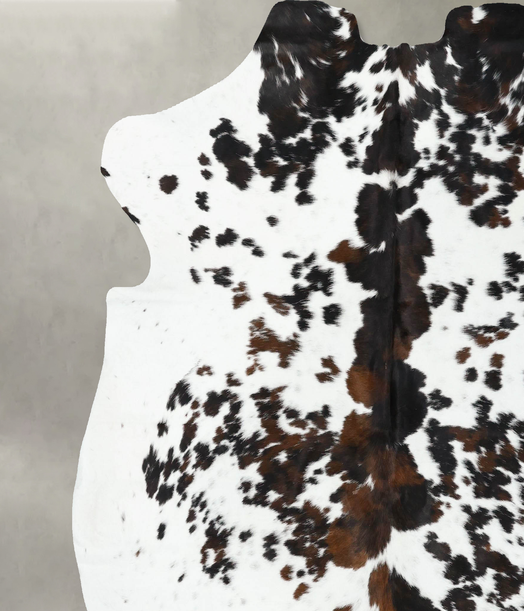 Tricolor Cowhide Rug #B22550