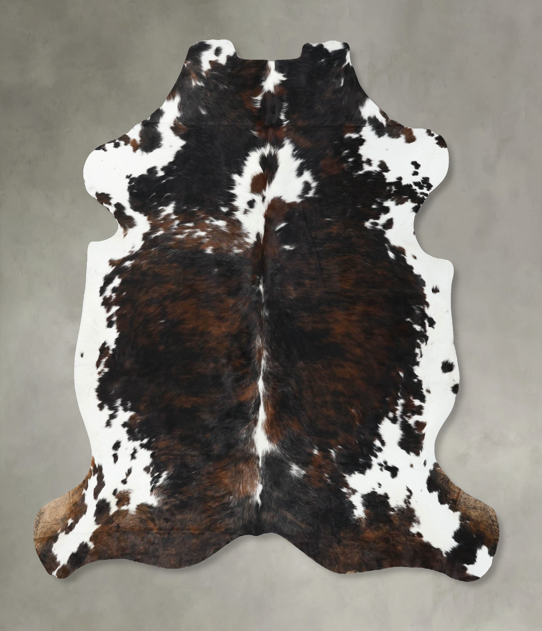 Tricolor Cowhide Rug #B22552