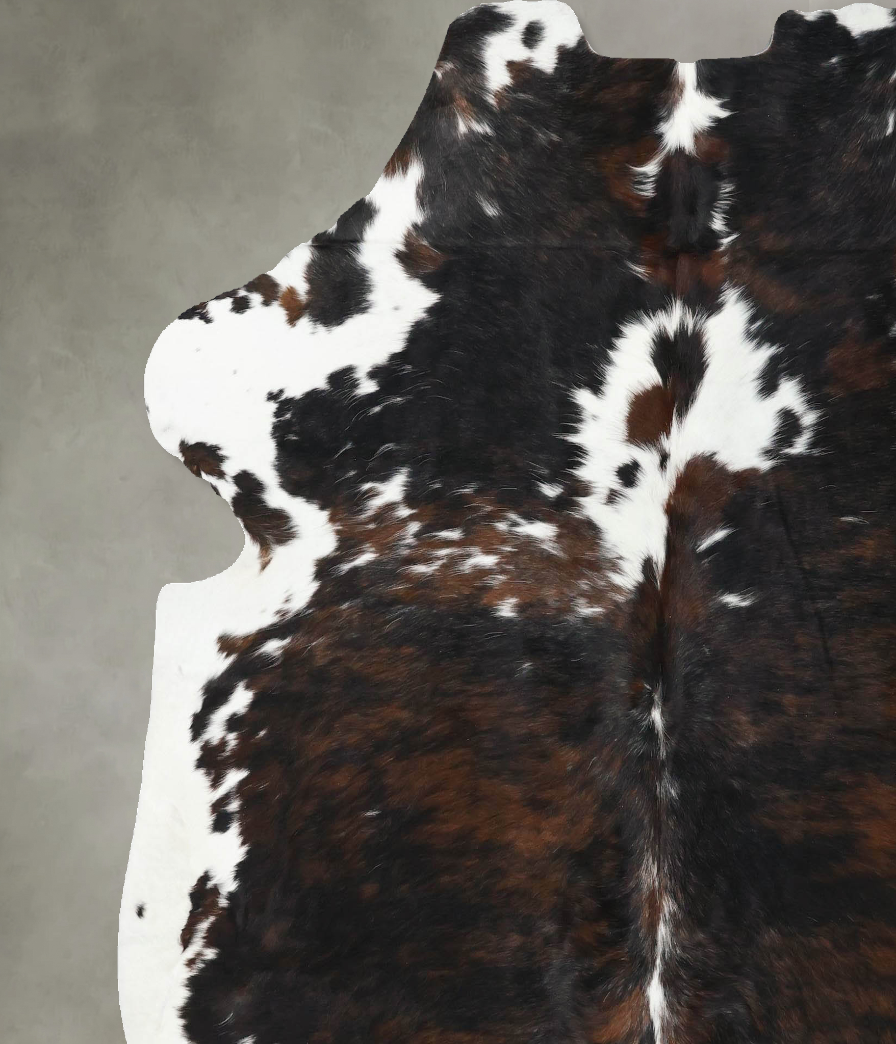 Tricolor Cowhide Rug #B22552