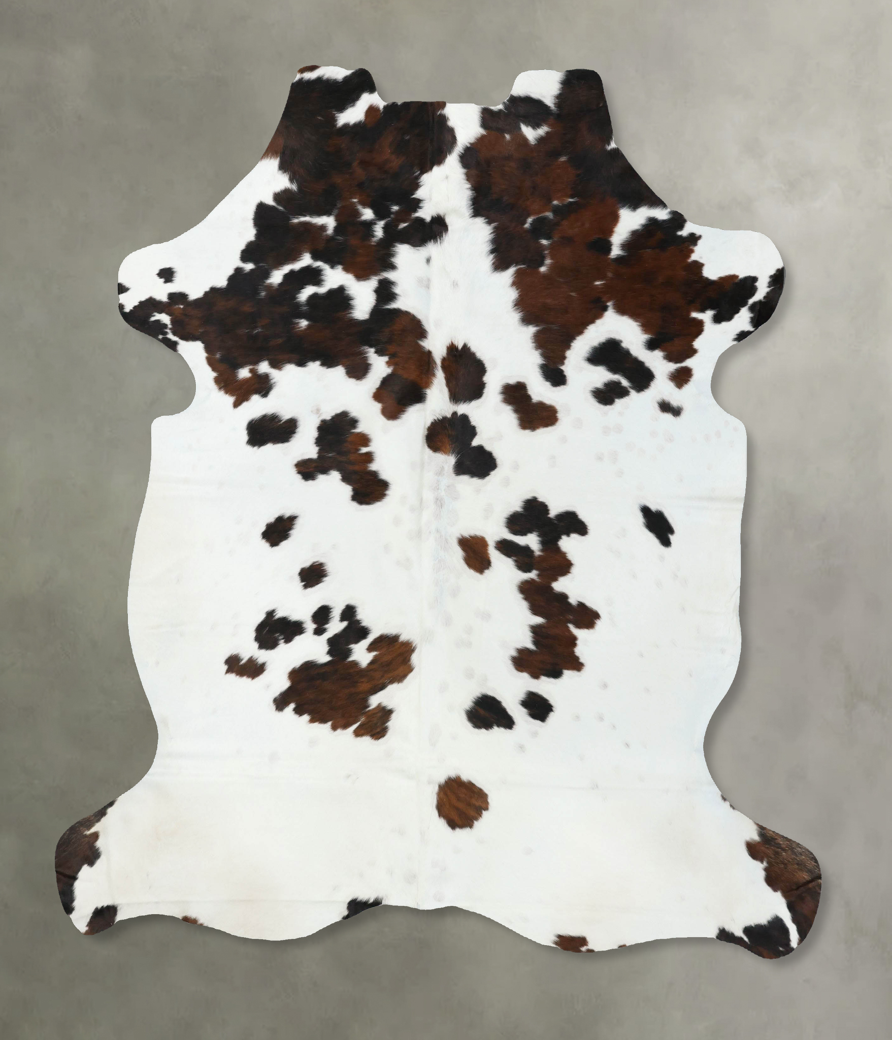 Tricolor Cowhide Rug #B22553