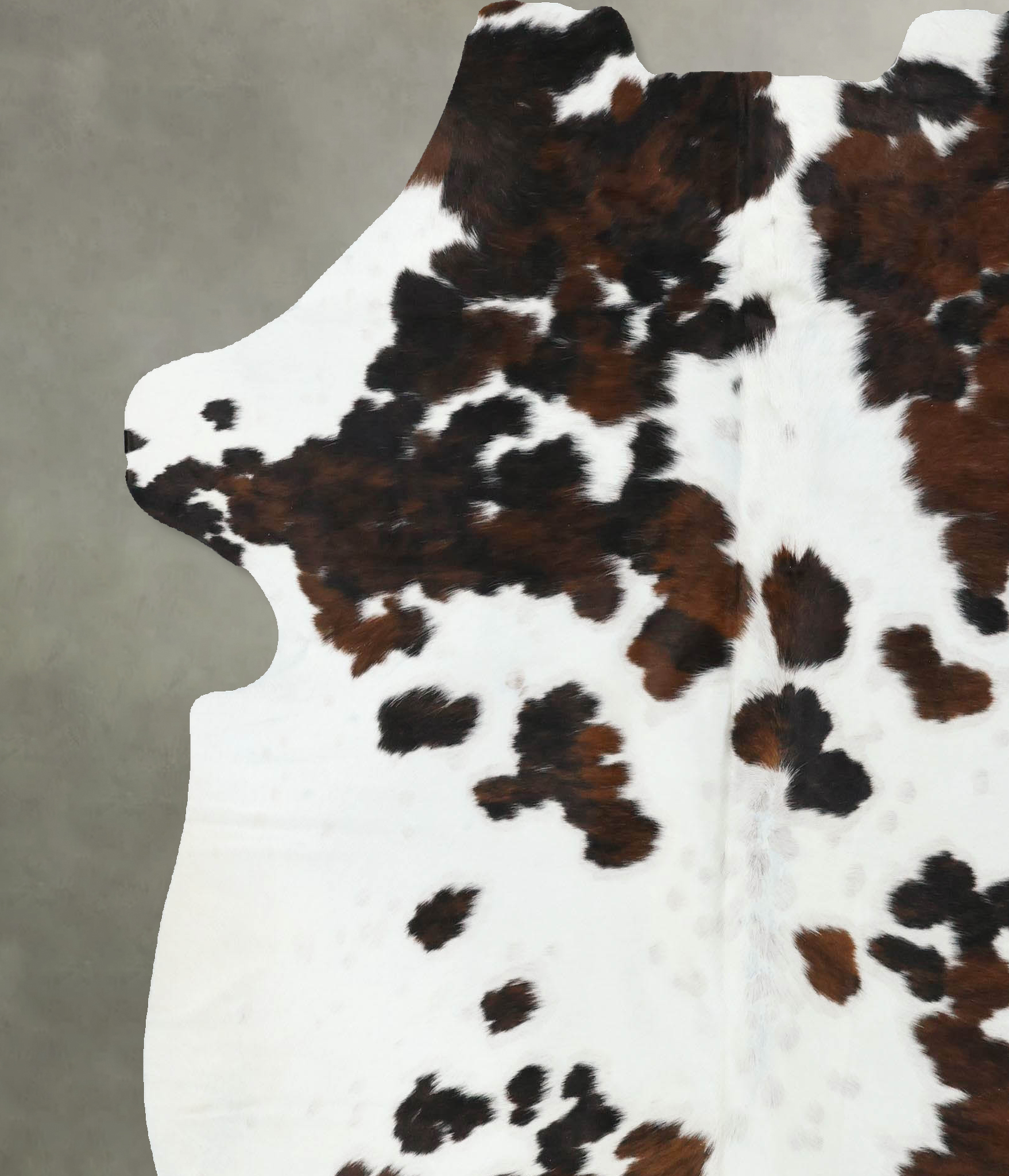 Tricolor Cowhide Rug #B22553