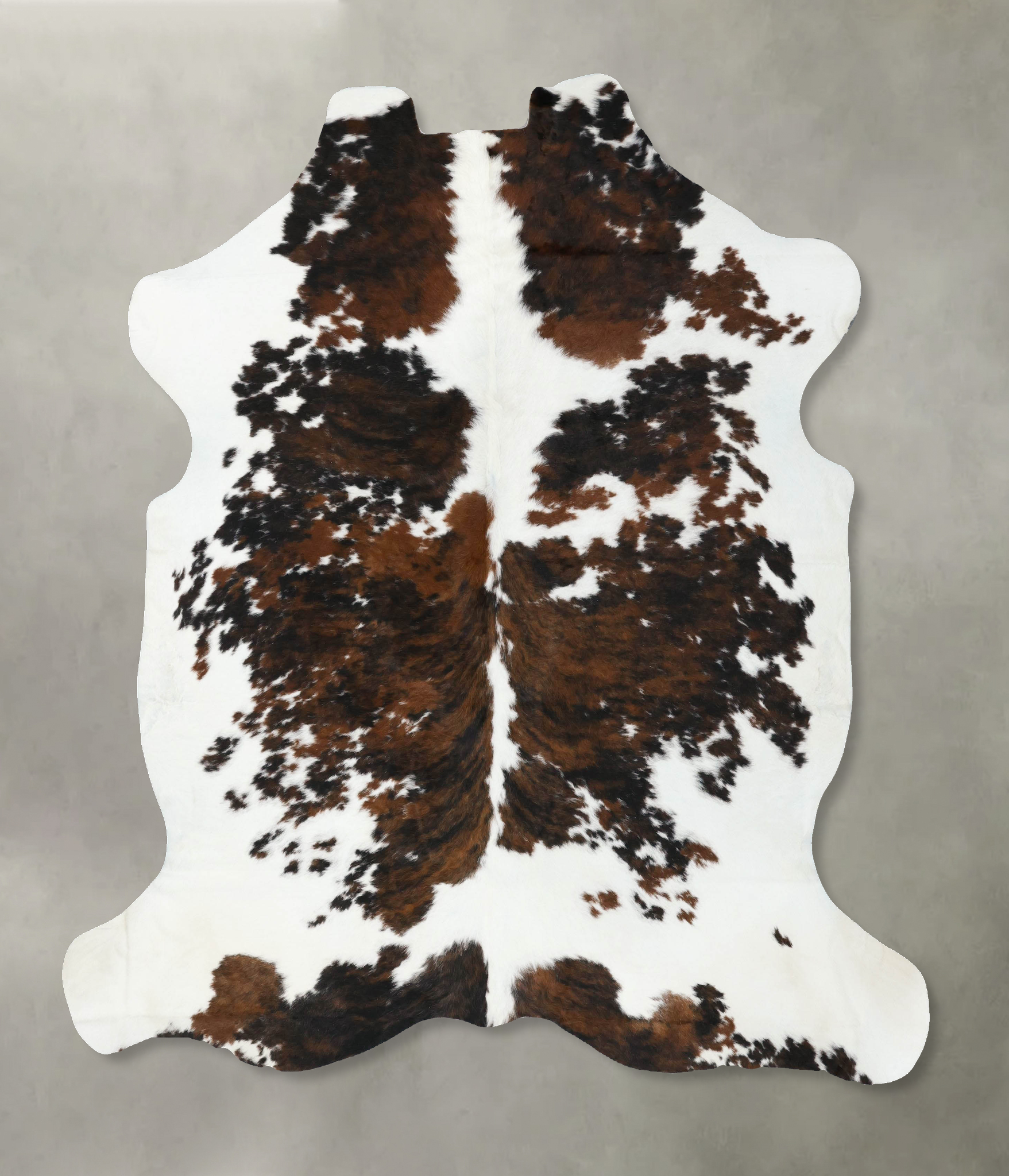 Tricolor Cowhide Rug #B22554
