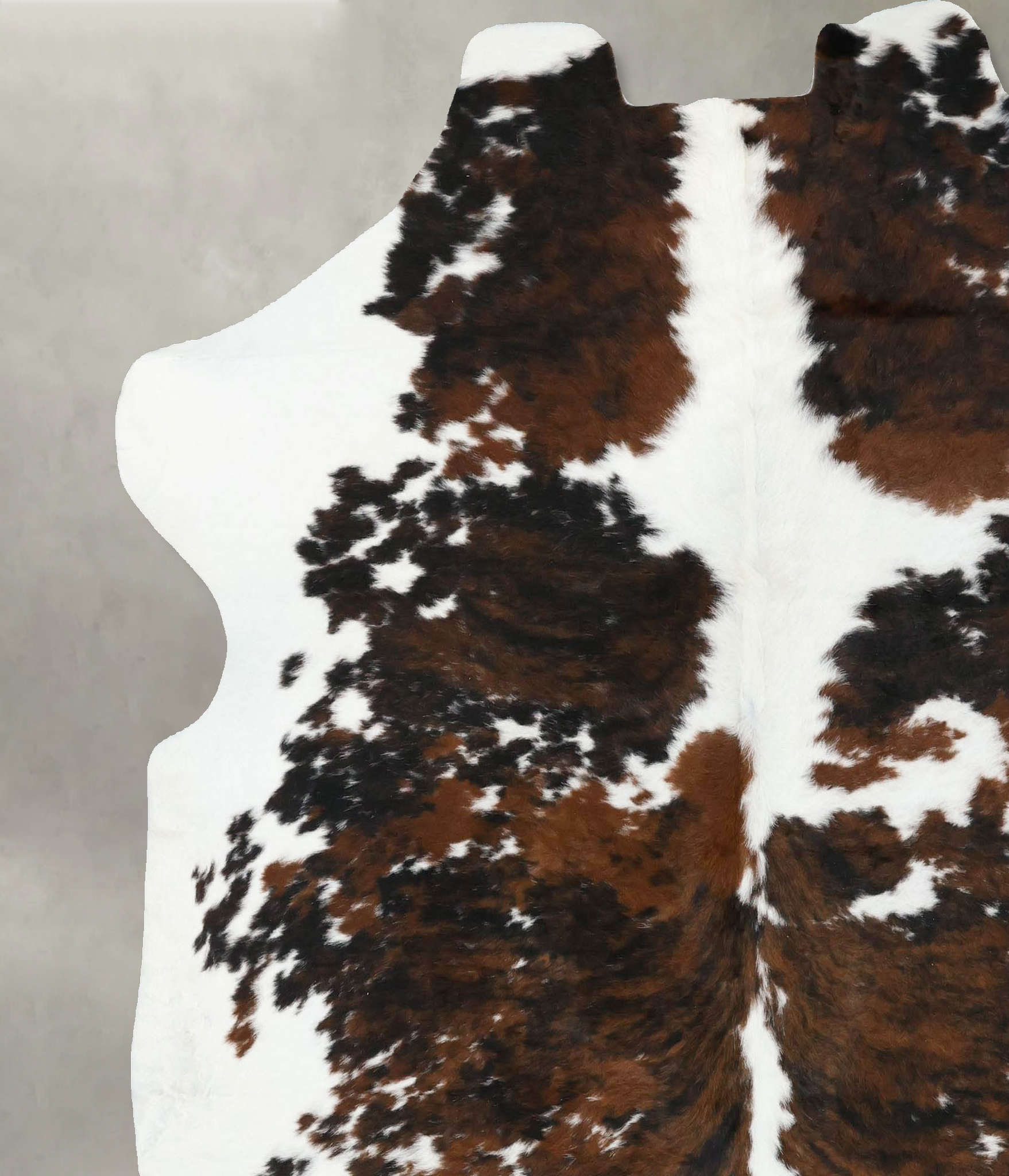 Tricolor Cowhide Rug #B22554
