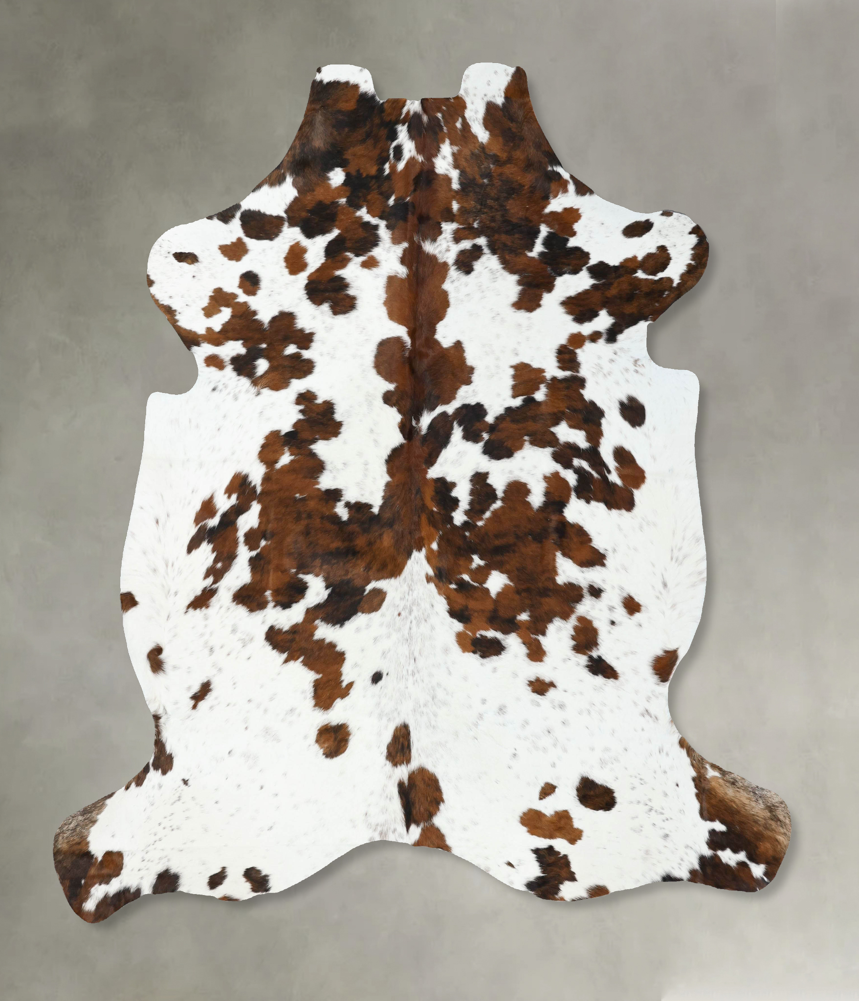 Tricolor Cowhide Rug #B22555